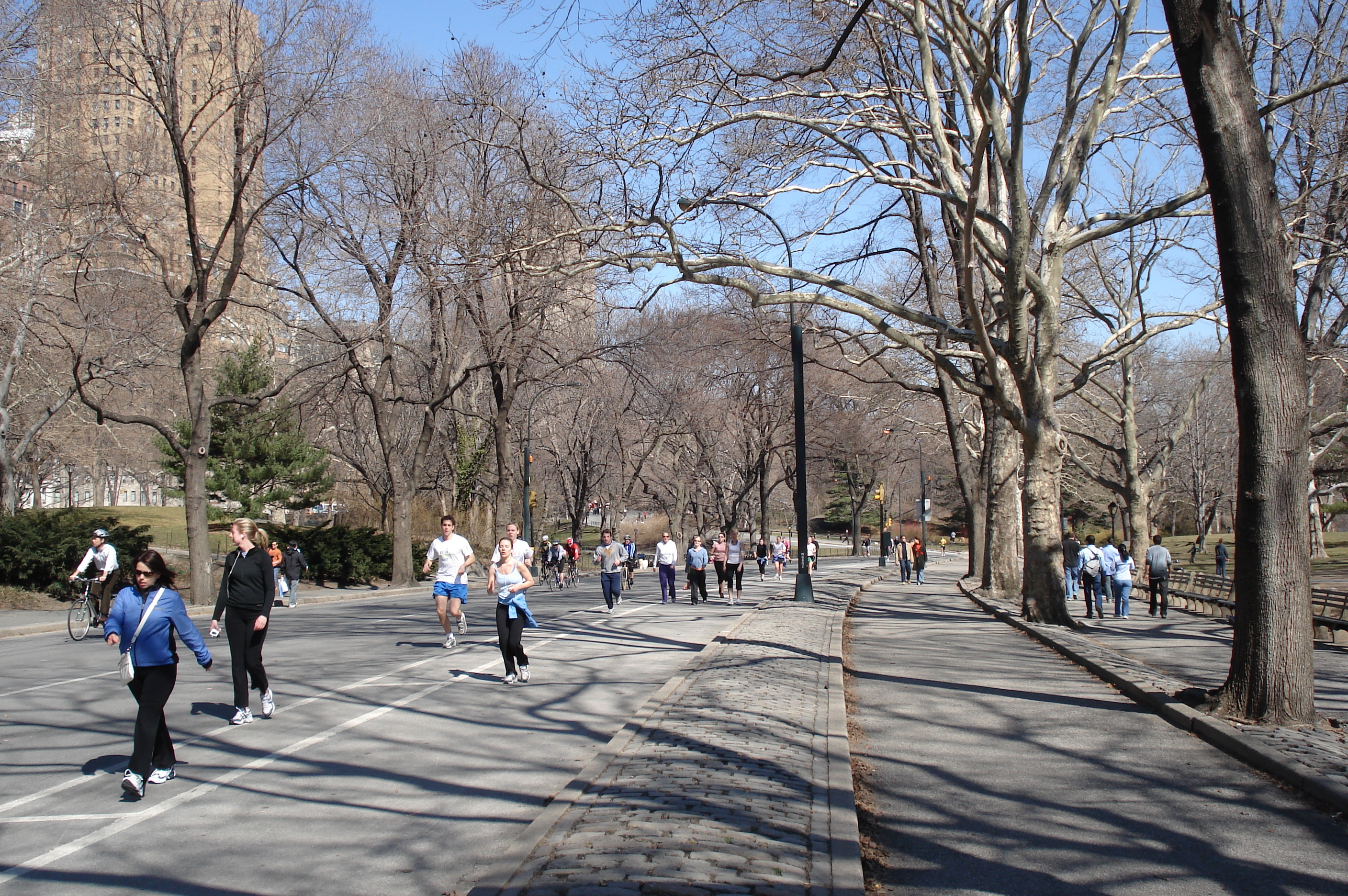 รูปถ่าย สหรัฐอเมริกา(United States) นิวยอร์ก(New York) เซ็นทรัลพาร์ก(Central Park) 2006-03 30