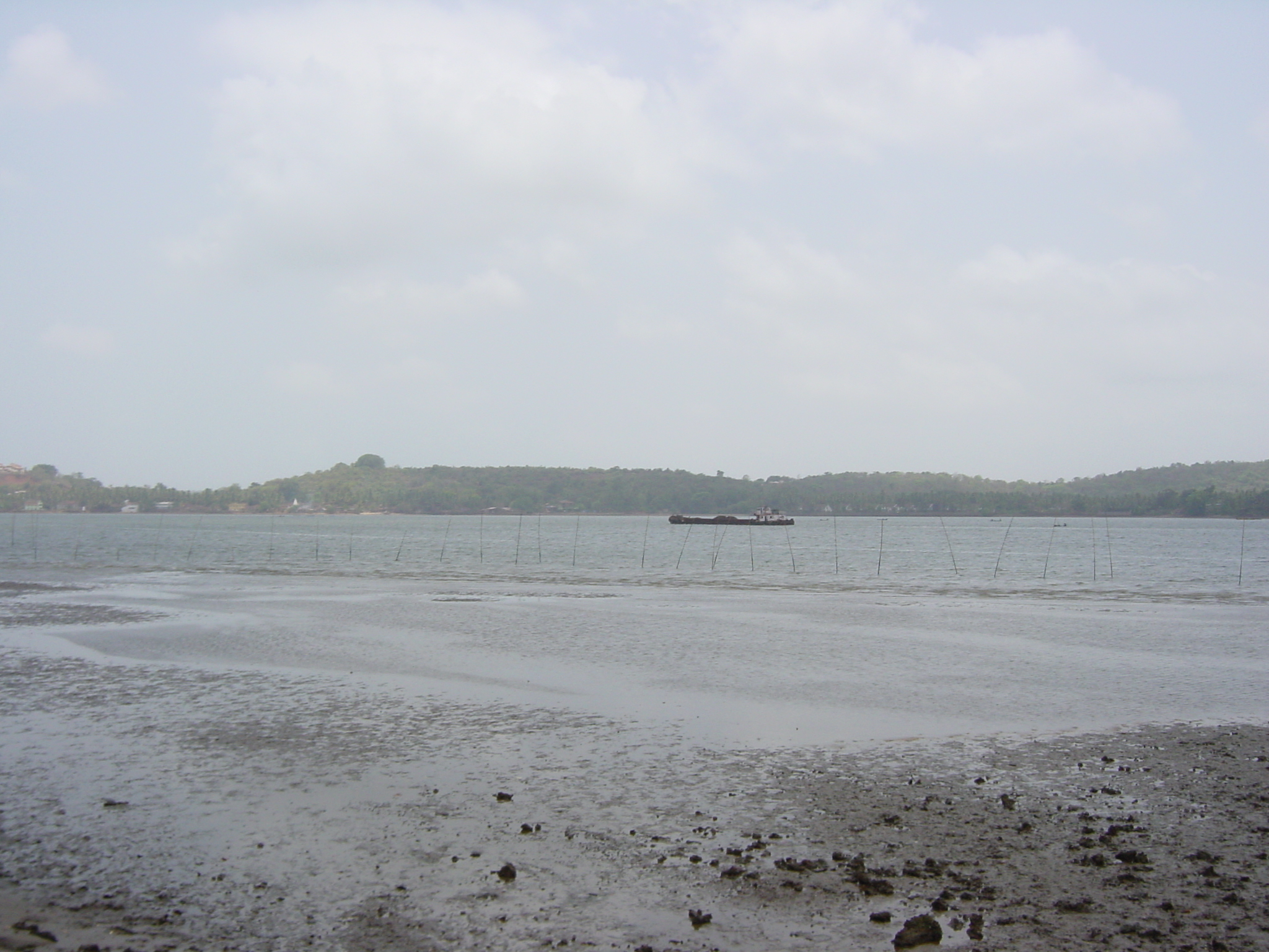 รูปถ่าย อินเดีย(India) กัว(Goa) โรงแรมแมริออท(Marriott Hotel) 2003-05 0