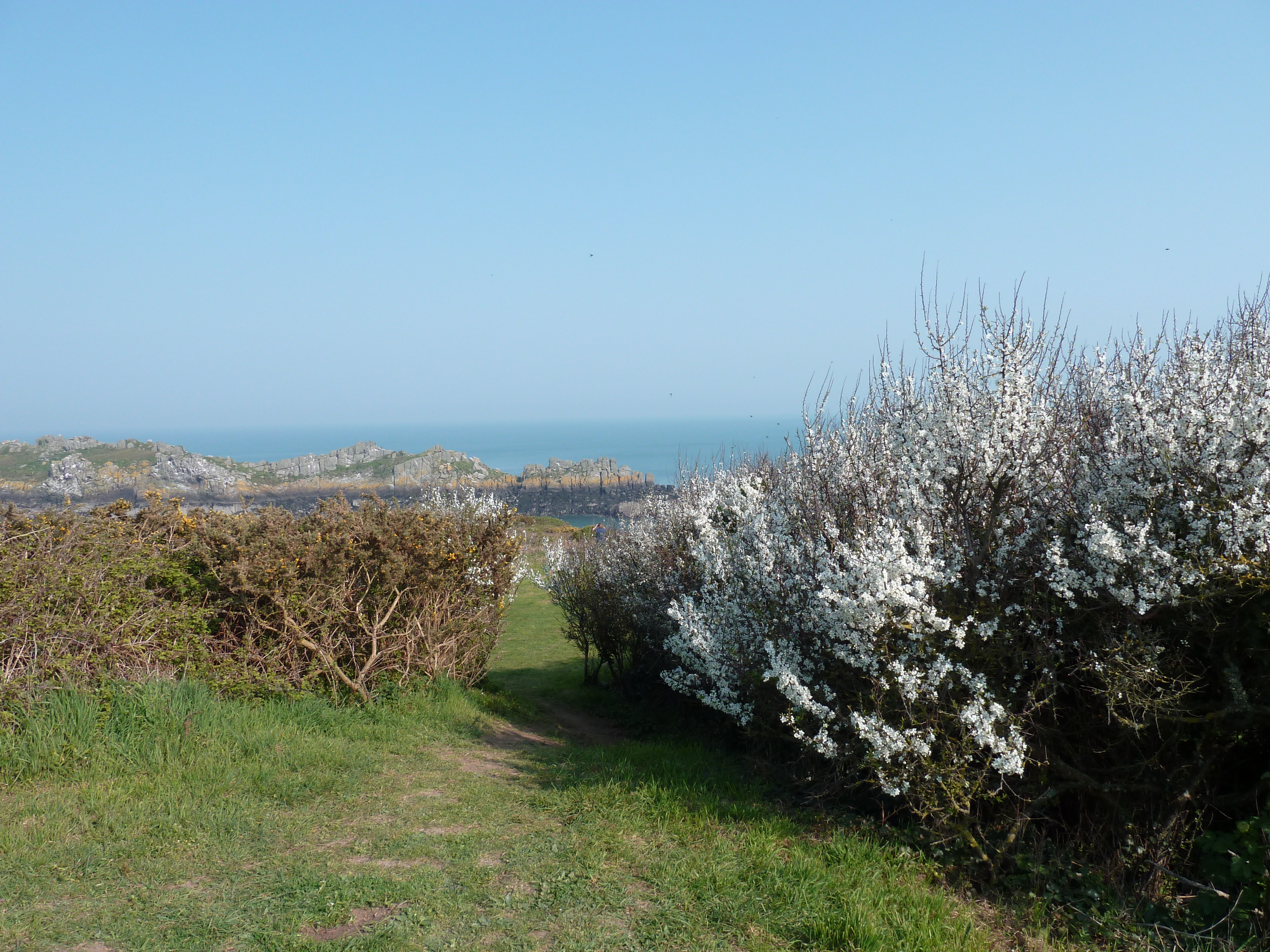 รูปถ่าย ฝรั่งเศส(France) แหลมกรูแอ็ง(Grouin Point) 2010-04 13