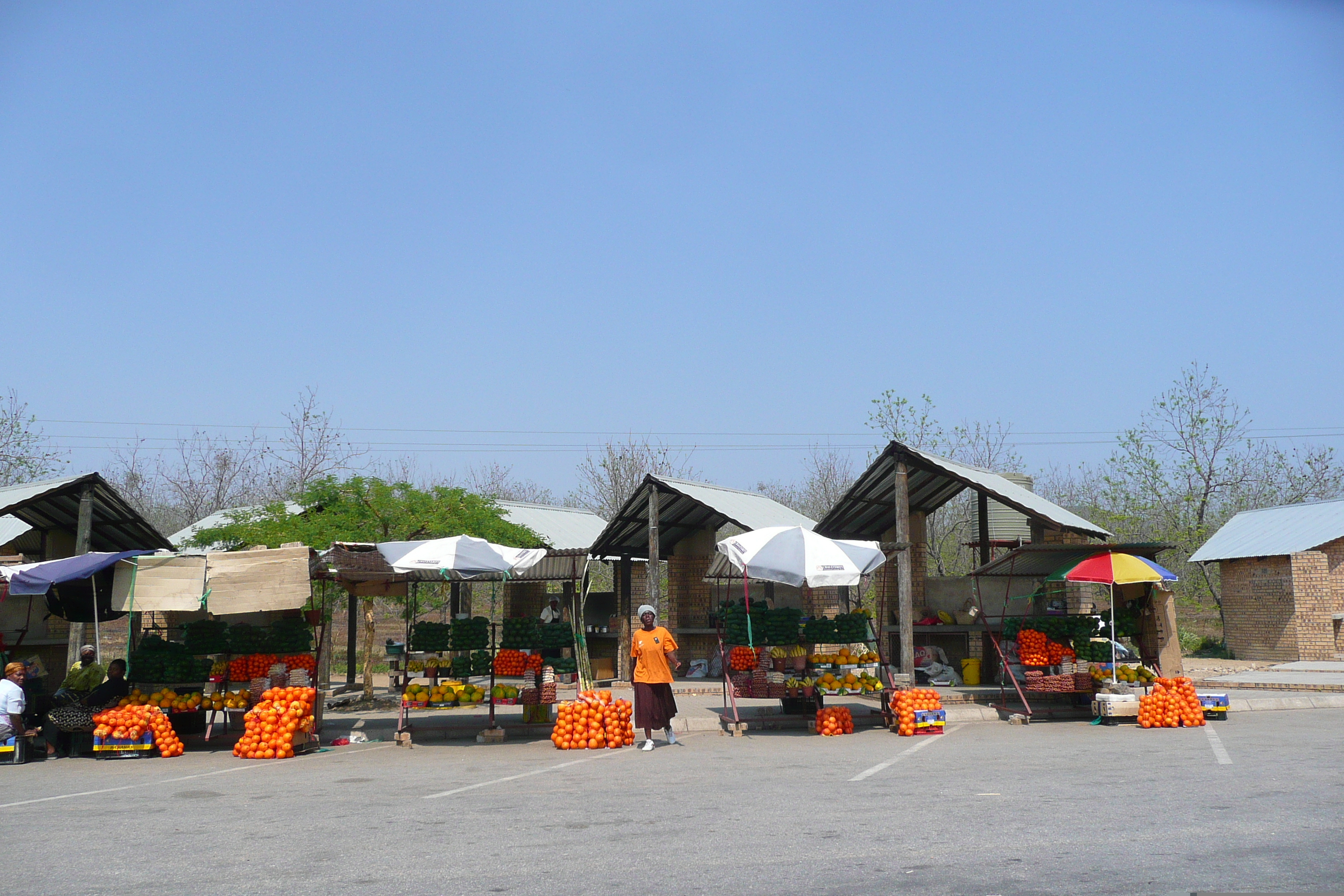 รูปถ่าย แอฟริกาใต้(South Africa) ถนนจากเนลสปรุตไปโจฮันเนสเบิร์ก(Nelspruit to Johannesburg road) 2008-09 162