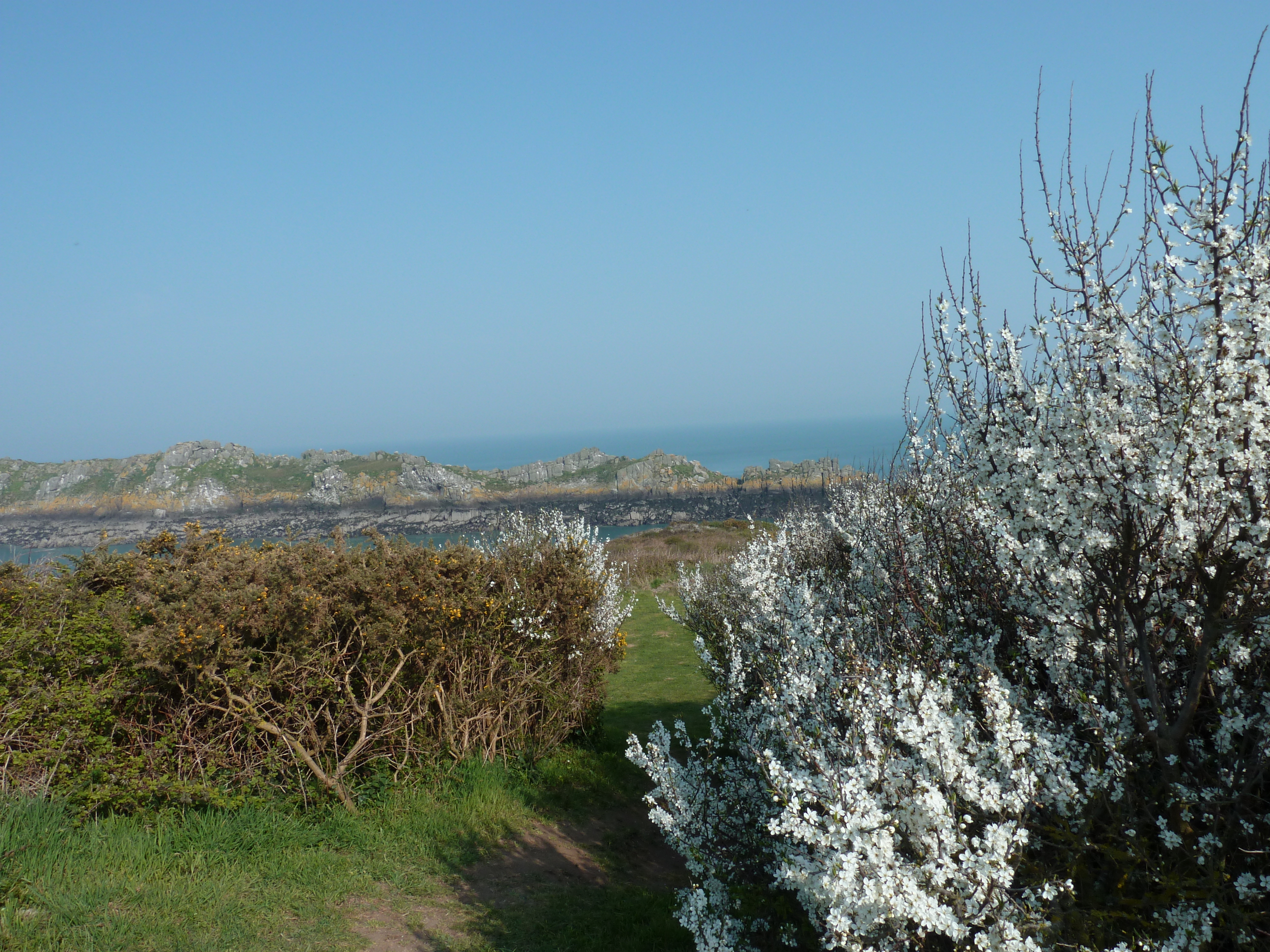 รูปถ่าย ฝรั่งเศส(France) แหลมกรูแอ็ง(Grouin Point) 2010-04 12