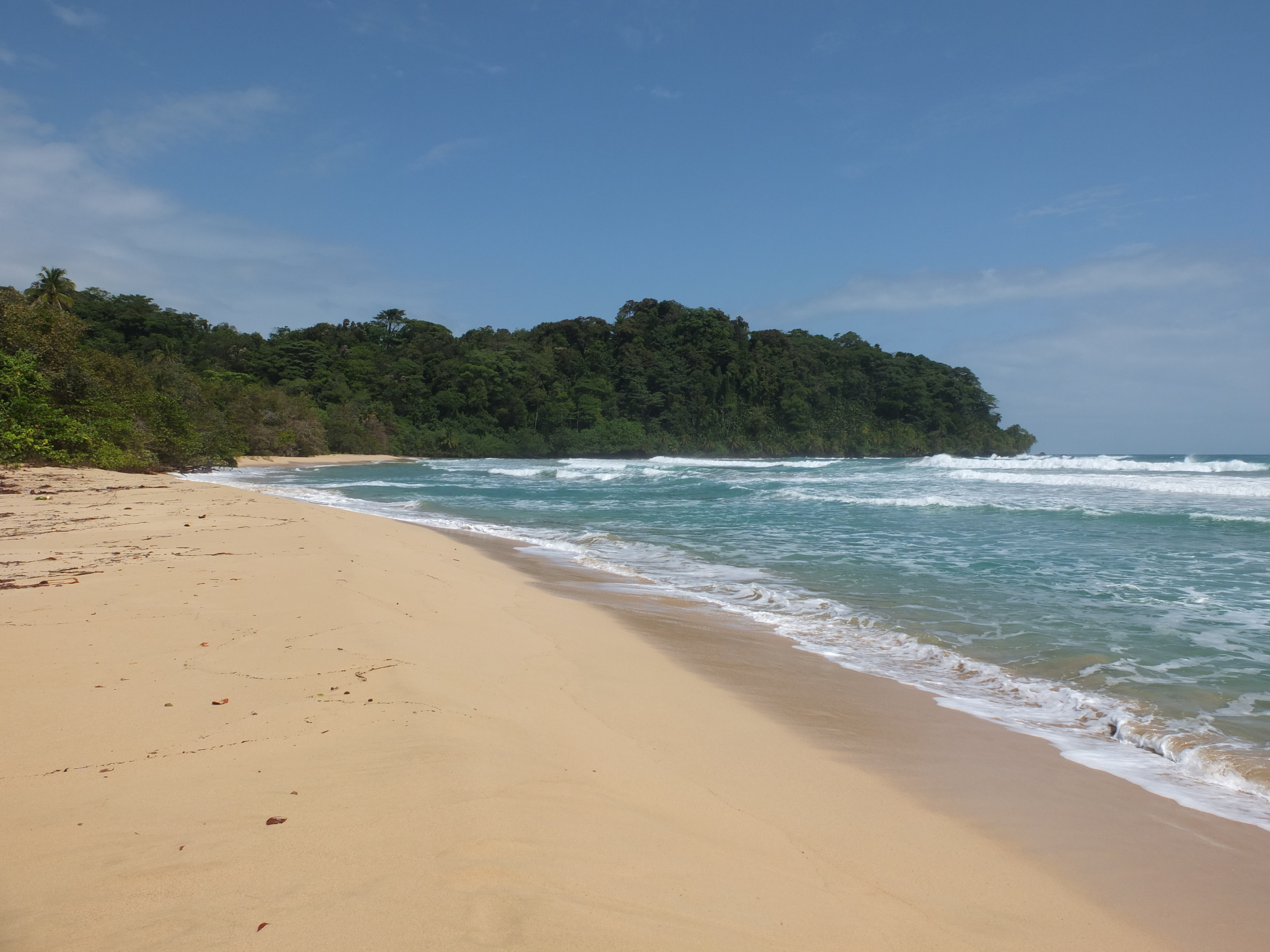 รูปถ่าย ปานามา(Panama) เกาะบาสติเมนโตส(Bastimentos) 2015-03 55