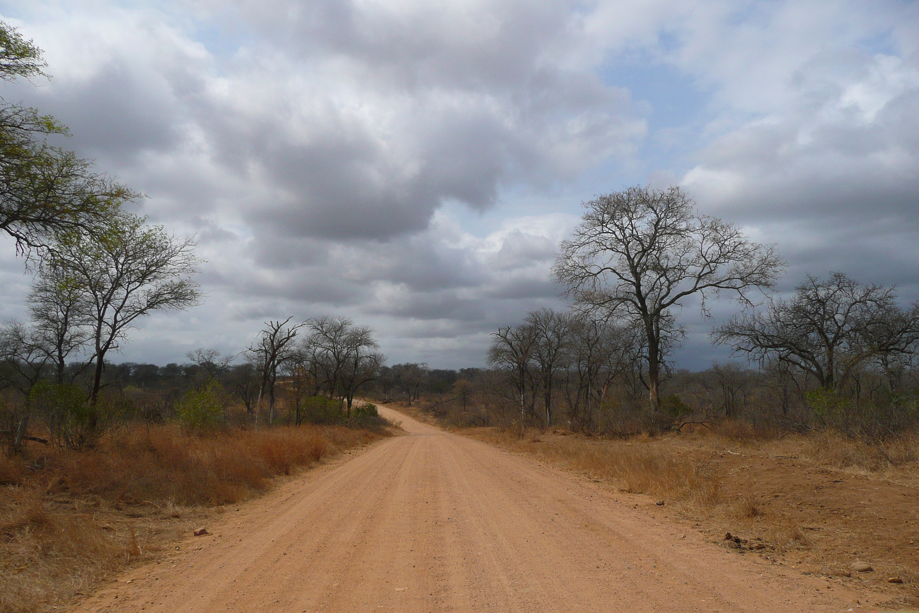 รูปถ่าย แอฟริกาใต้(South Africa) อุทยานแห่งชาติครูเกอร์(Kruger National Park) ถนนเลียบแม่น้ำครอกโคไดล์(Crocodile River road) 2008-09 7