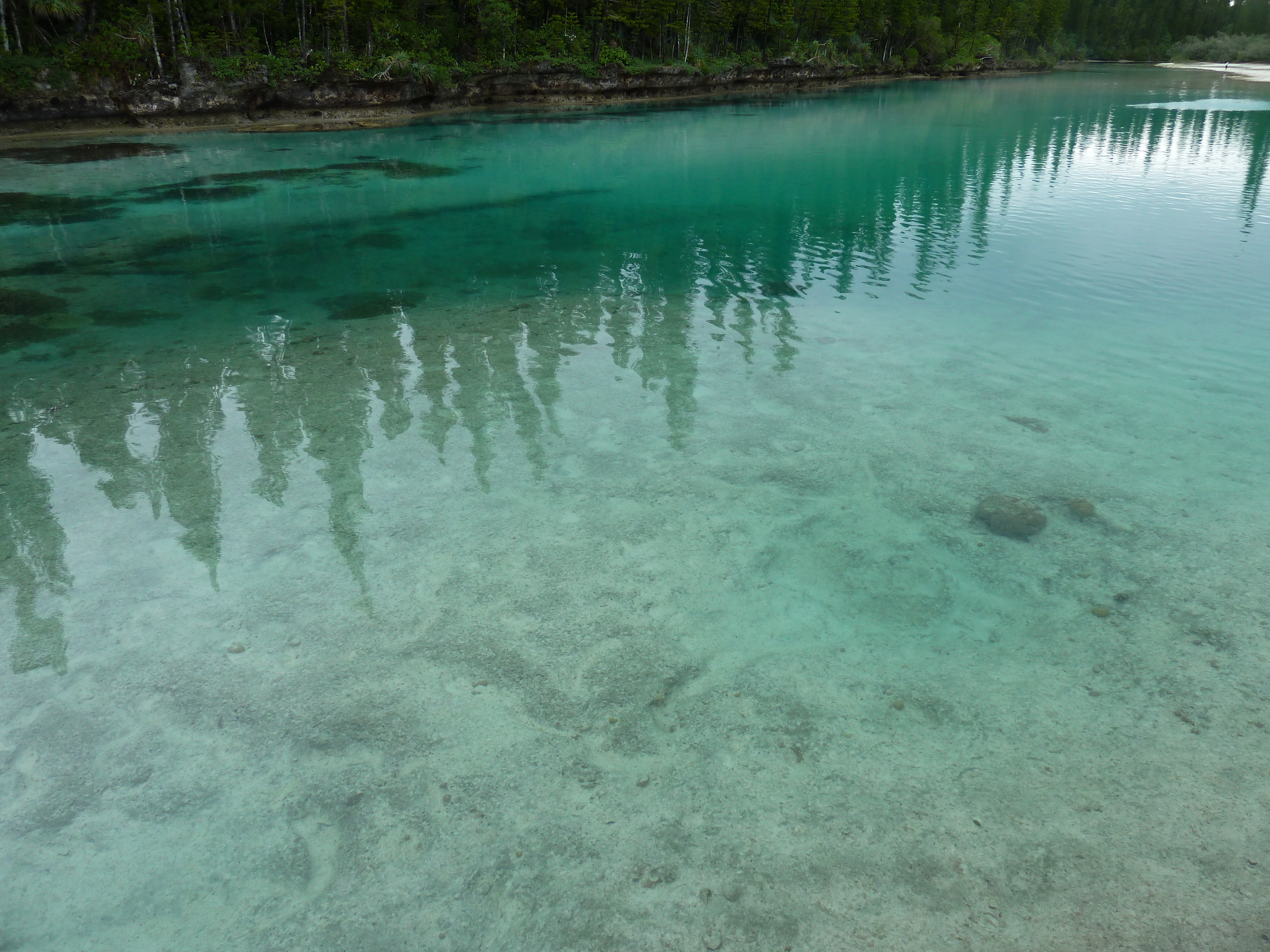 รูปถ่าย นิวแคลิโดเนีย(New Caledonia) เกาะต้นสน(Ile des pins) อ่าวโอโร(Oro Bay) 2010-05 22