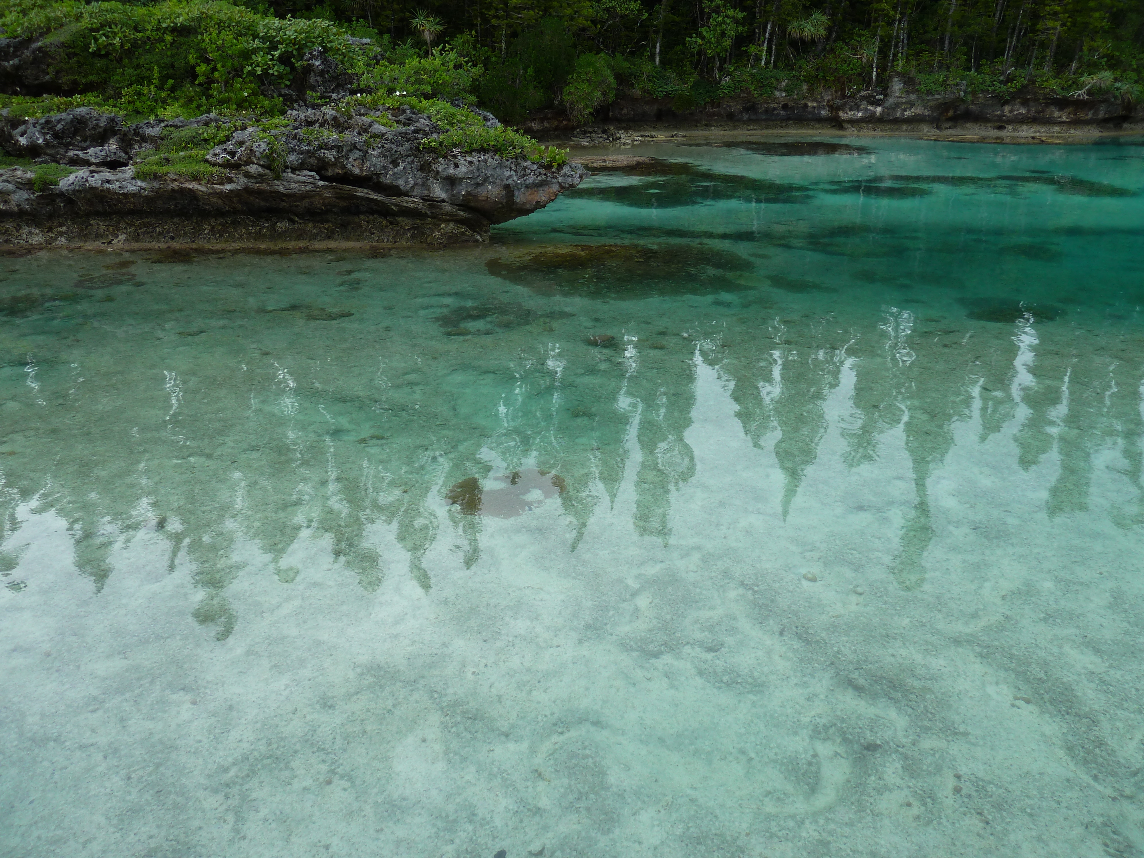 รูปถ่าย นิวแคลิโดเนีย(New Caledonia) เกาะต้นสน(Ile des pins) อ่าวโอโร(Oro Bay) 2010-05 35