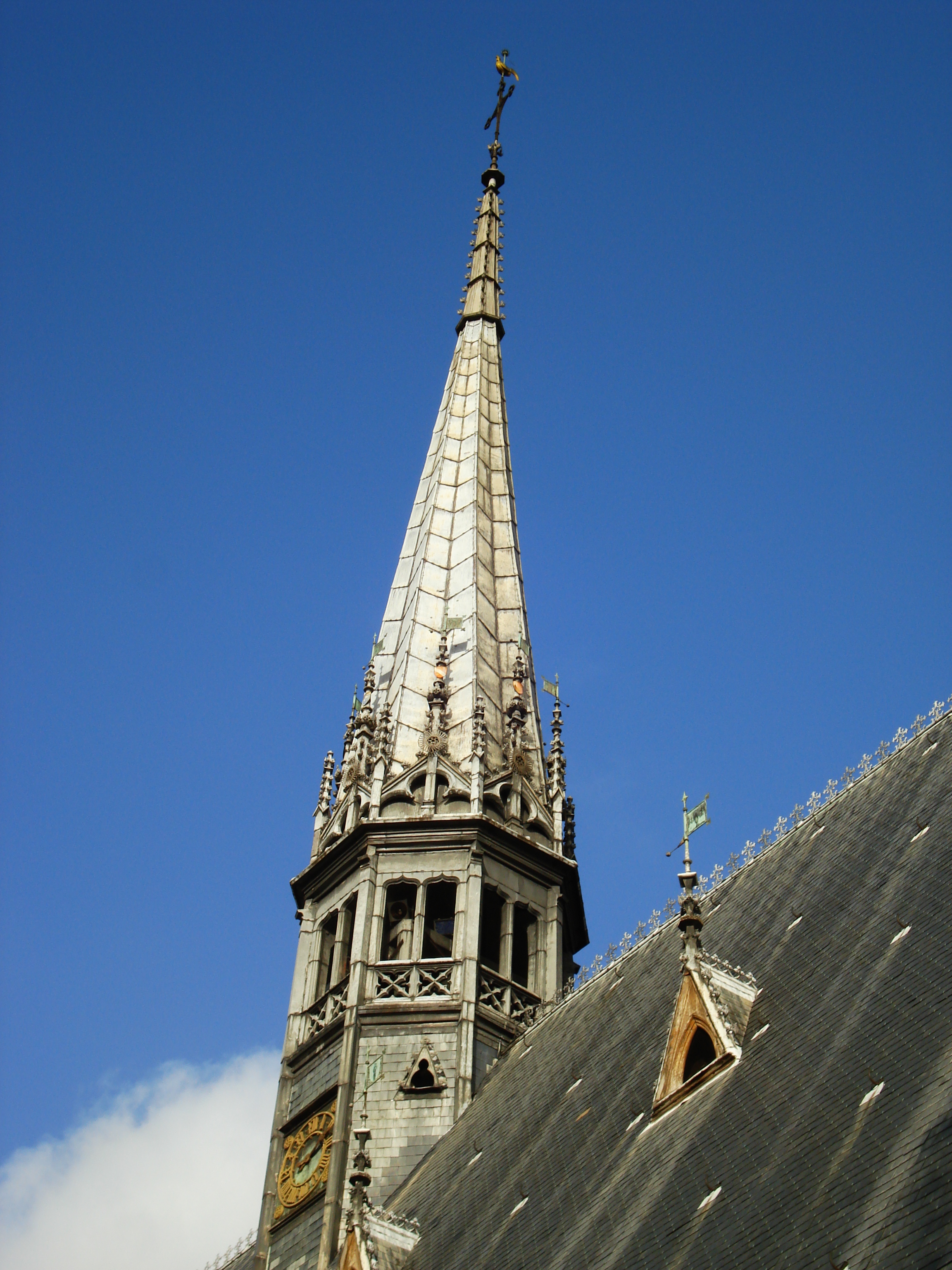 รูปถ่าย ฝรั่งเศส(France) โบนเนอ(Beaune) โรงพยาบาลเก่าโบน (ออสปิสเดอโบน)(Hospices de Beaune) 2007-01 20