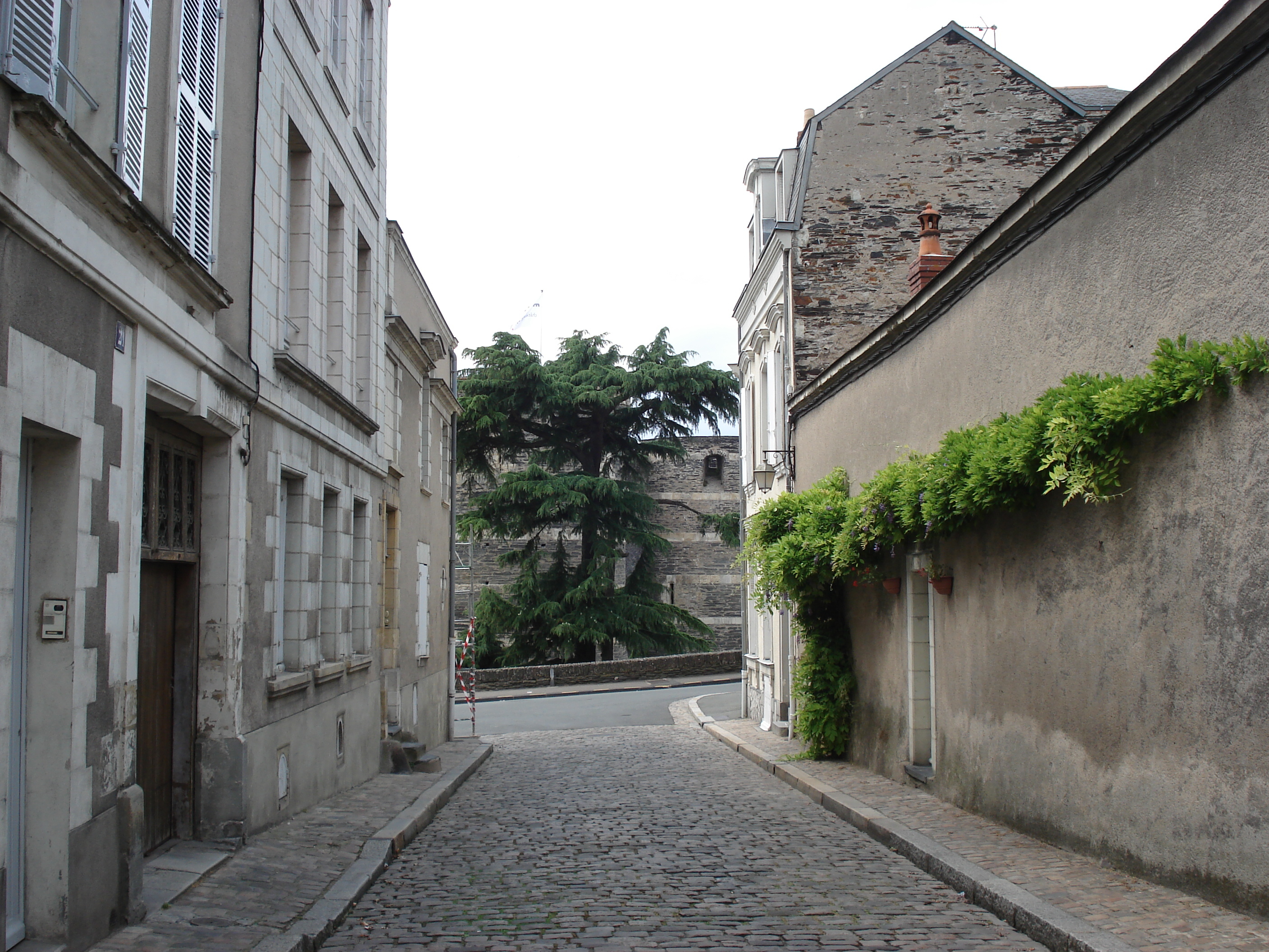 รูปถ่าย ฝรั่งเศส(France) อองเจ(Angers) 2006-06 48