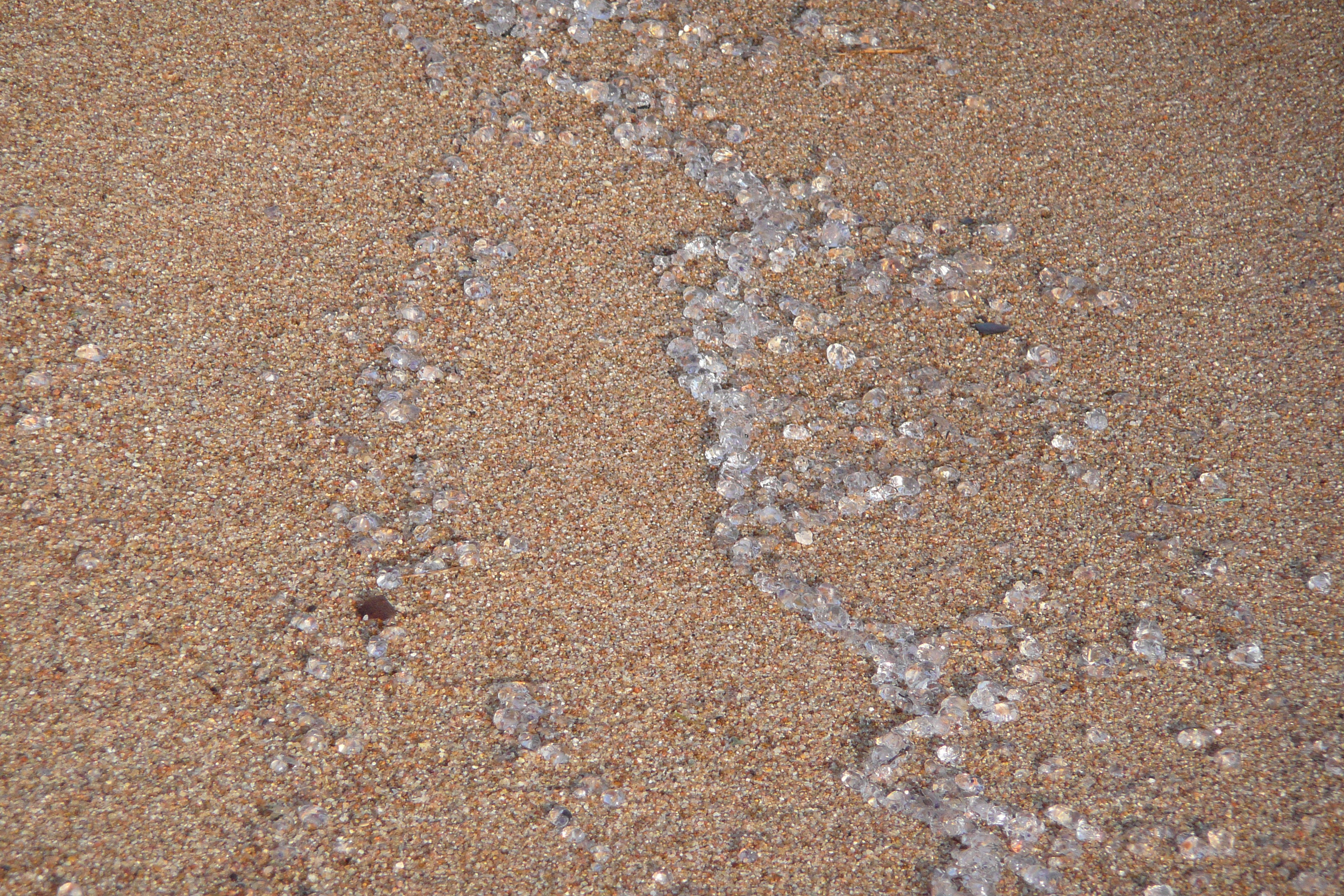 รูปถ่าย ฝรั่งเศส(France) คานส์(Cannes) หาดทราย(Beach) 2008-04 31