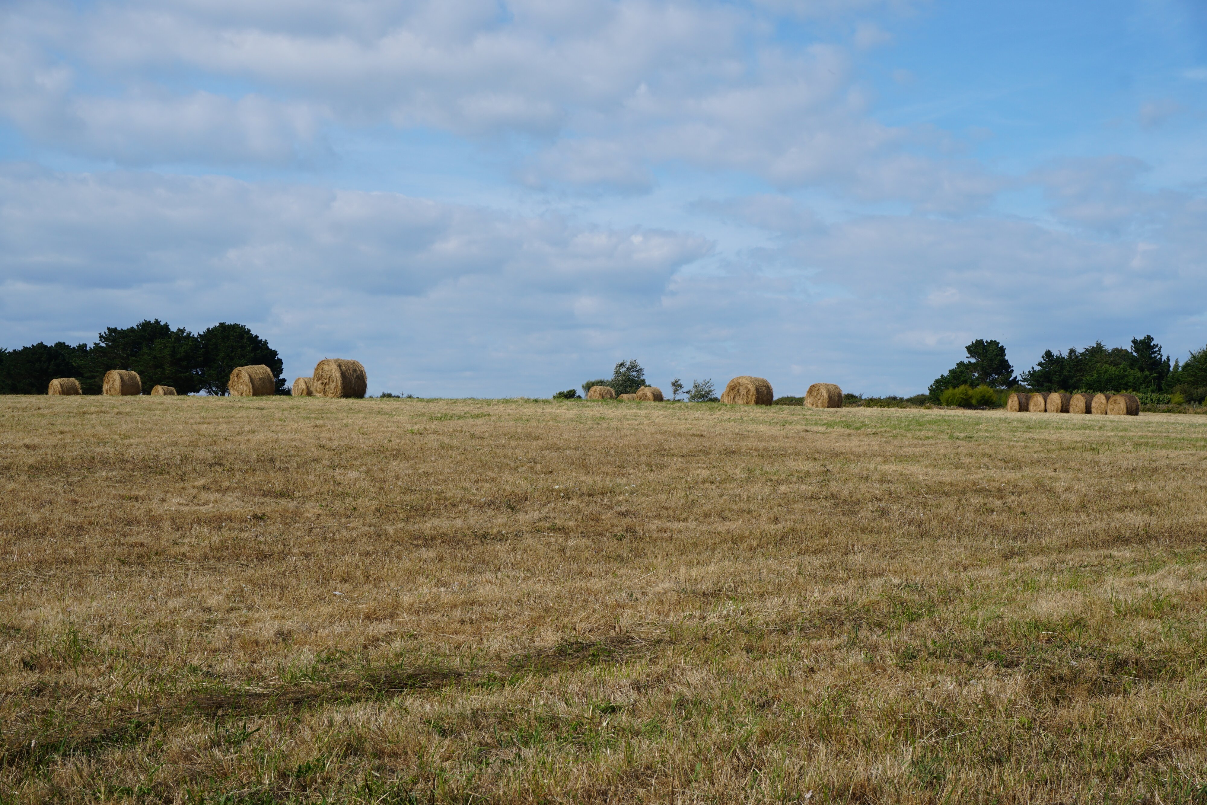 รูปถ่าย ฝรั่งเศส(France) เกาะแบล-อีล(Belle-Ile) 2016-08 200