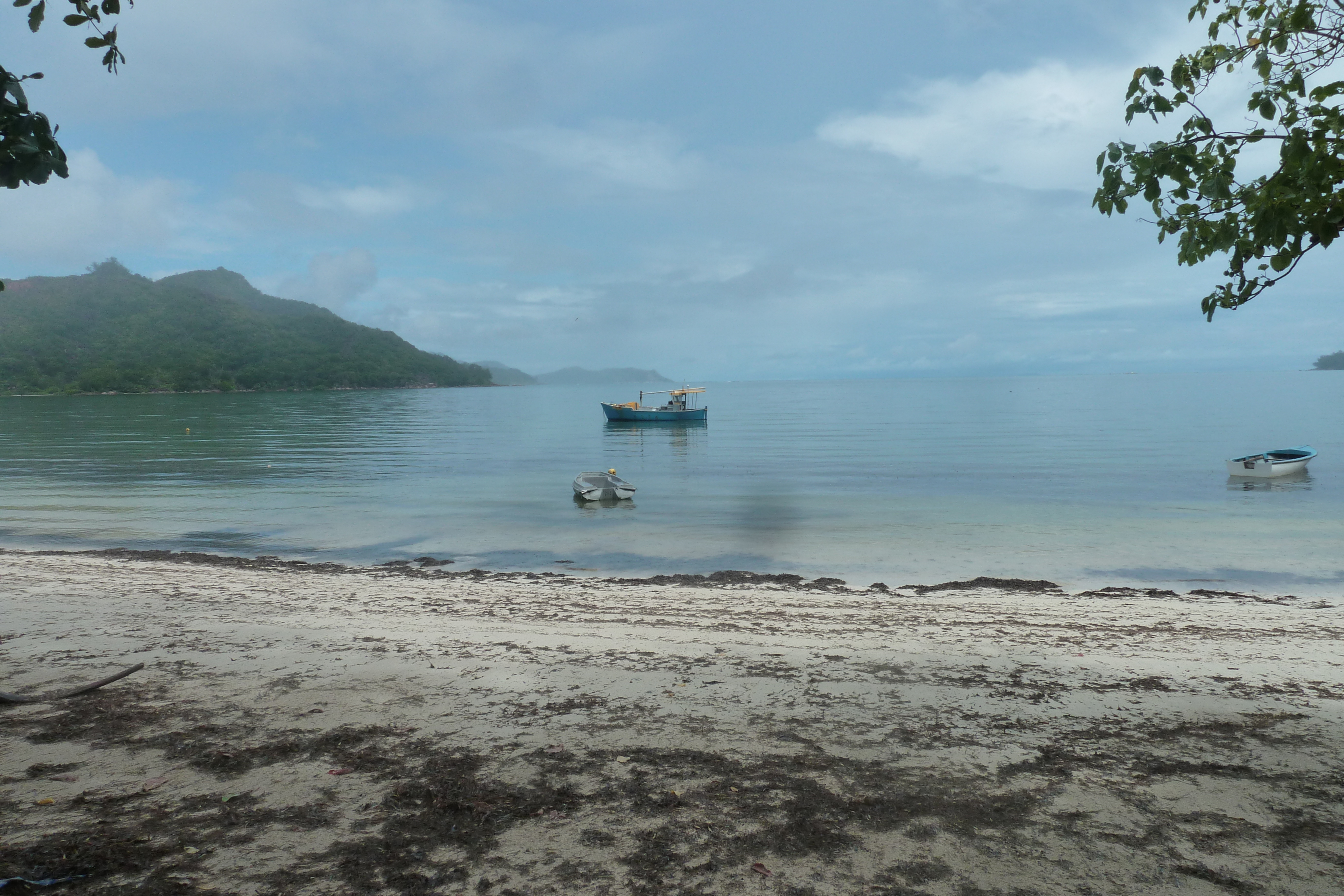 รูปถ่าย เซเชลส์(Seychelles) เกาะปราลิน(Praslin) 2011-10 88