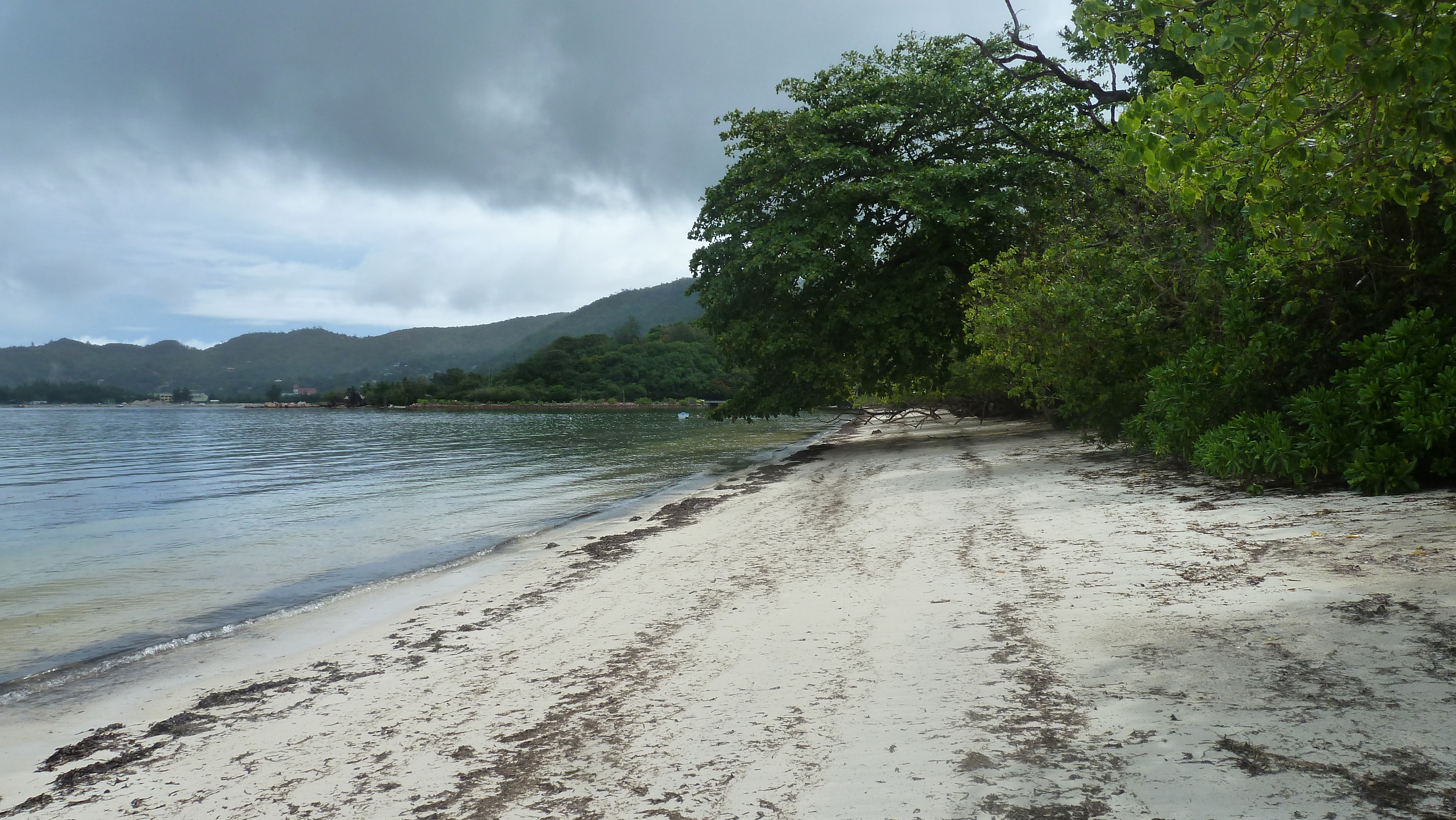 รูปถ่าย เซเชลส์(Seychelles) เกาะปราลิน(Praslin) 2011-10 63