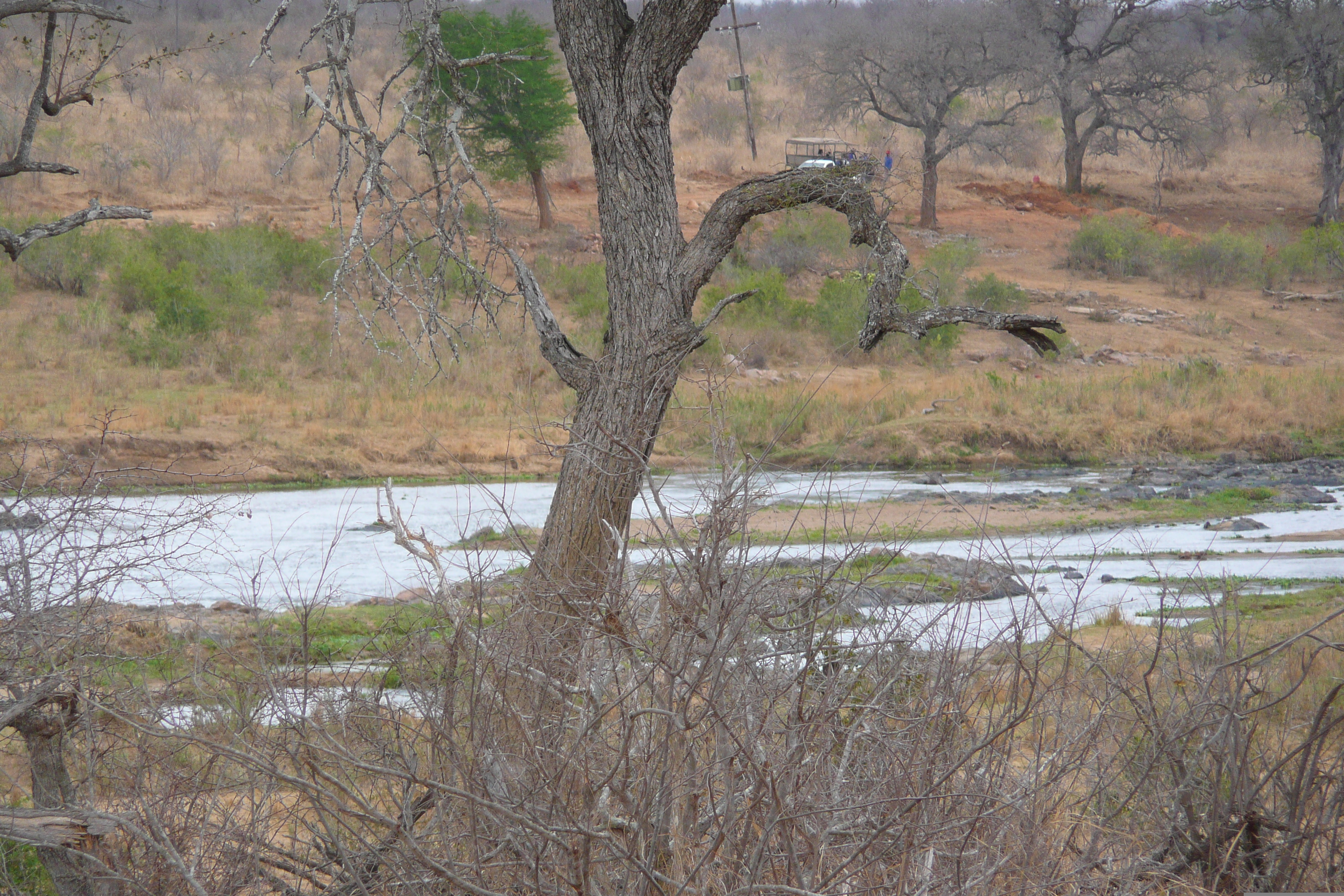 รูปถ่าย แอฟริกาใต้(South Africa) อุทยานแห่งชาติครูเกอร์(Kruger National Park) แม่น้ำครอกโคไดล์(Crocodile River) 2008-09 10