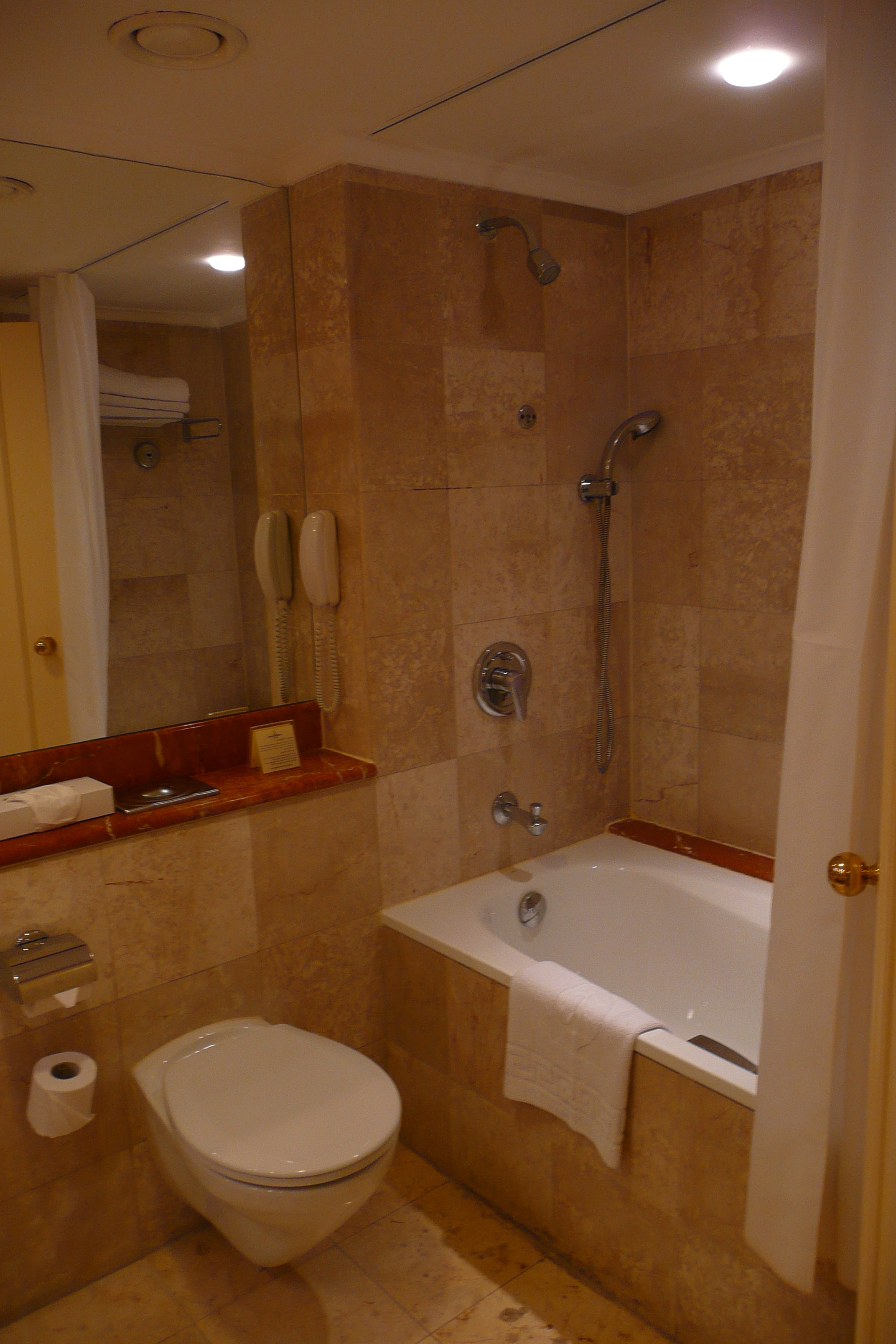 รูปถ่าย อิสราเอล(Israel) เทลอาวีฟ(Tel Aviv) โรงแรมเดวิด อินเตอร์คอนติเนนตัล(David Intercontinental Hotel) 2007-06 51