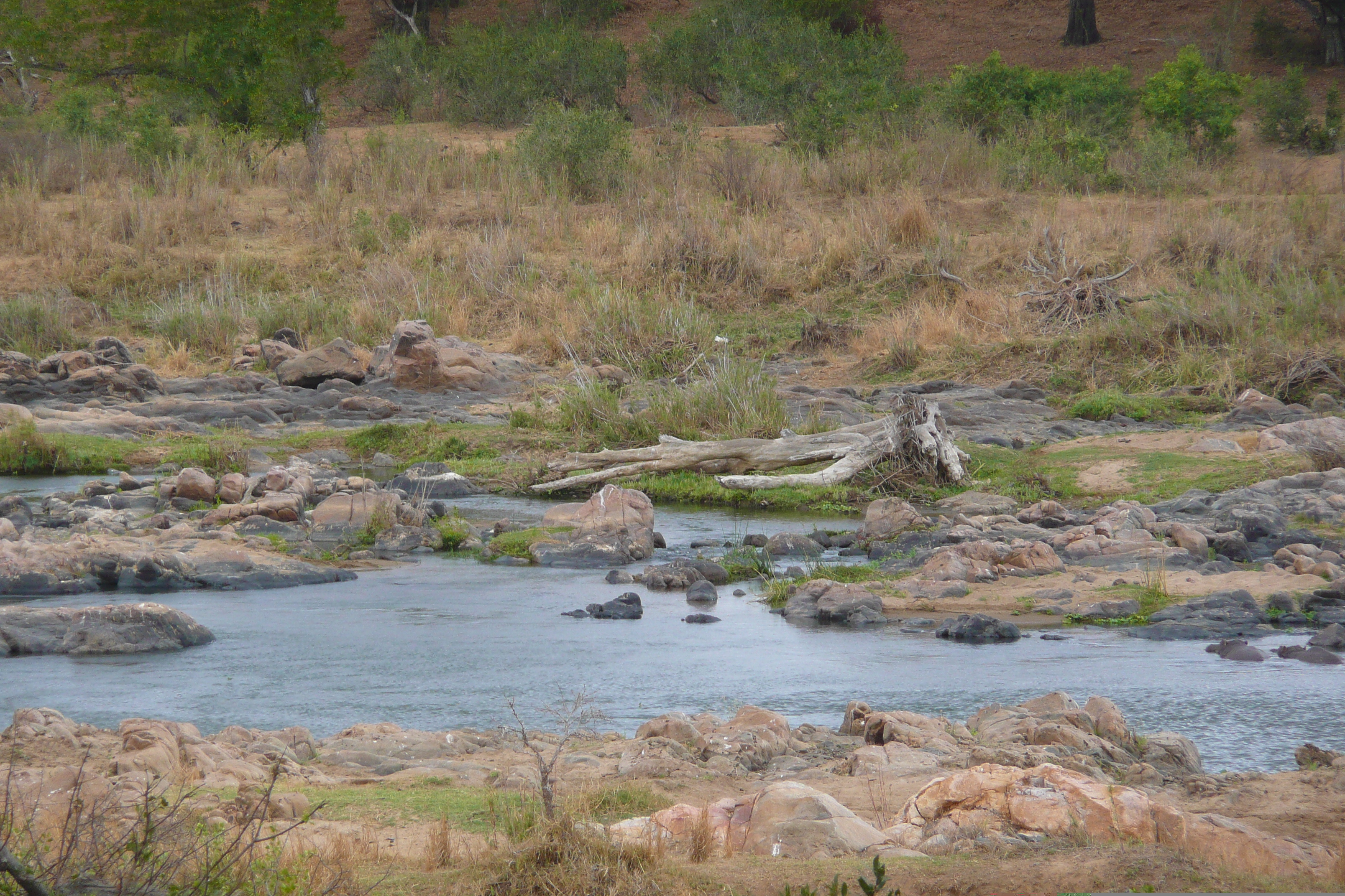 รูปถ่าย แอฟริกาใต้(South Africa) อุทยานแห่งชาติครูเกอร์(Kruger National Park) แม่น้ำครอกโคไดล์(Crocodile River) 2008-09 23