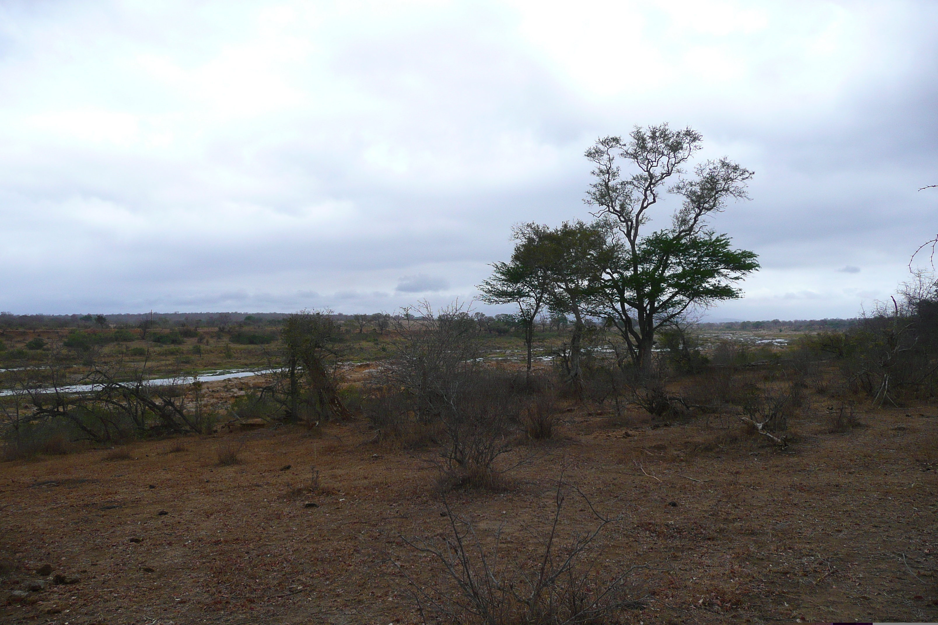 รูปถ่าย แอฟริกาใต้(South Africa) อุทยานแห่งชาติครูเกอร์(Kruger National Park) แม่น้ำครอกโคไดล์(Crocodile River) 2008-09 22