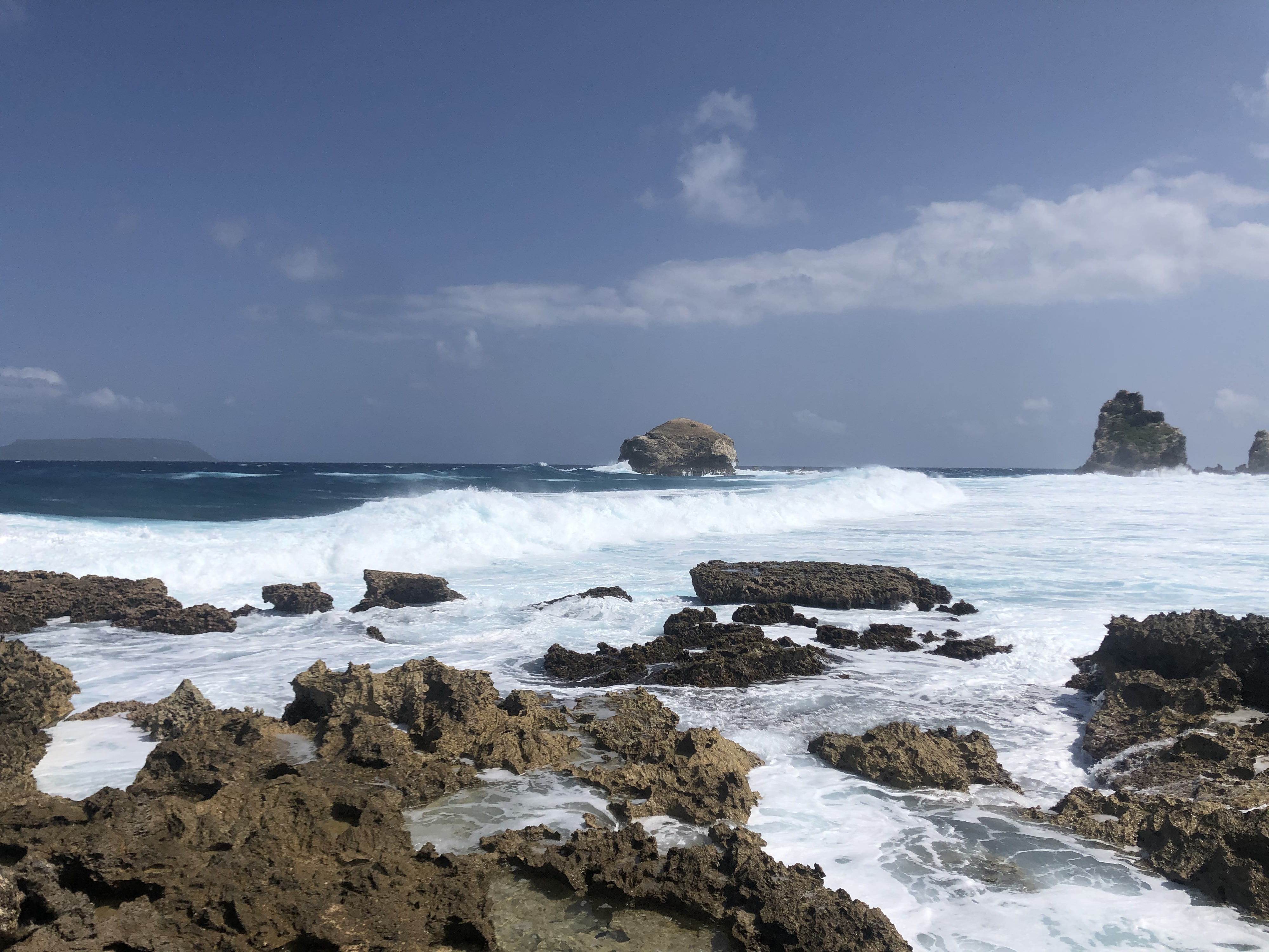 รูปถ่าย กวาเดอลูป(Guadeloupe) แหลมคาสเซิลพอยต์(Castle Point) 2021-02 184