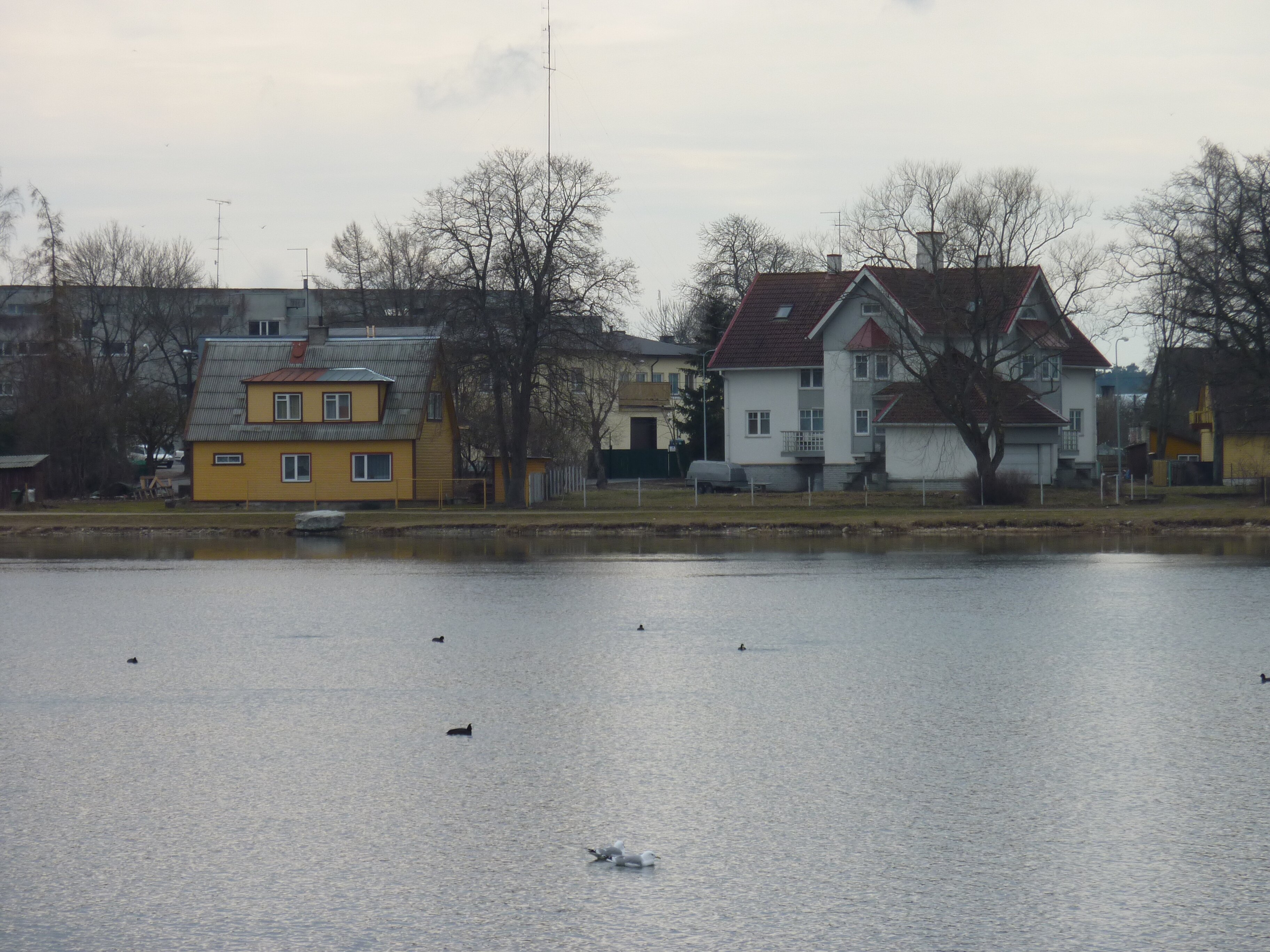 รูปถ่าย เอสโตเนีย(Estonia) ฮาปซาลู(Haapsalu) 2009-04 22