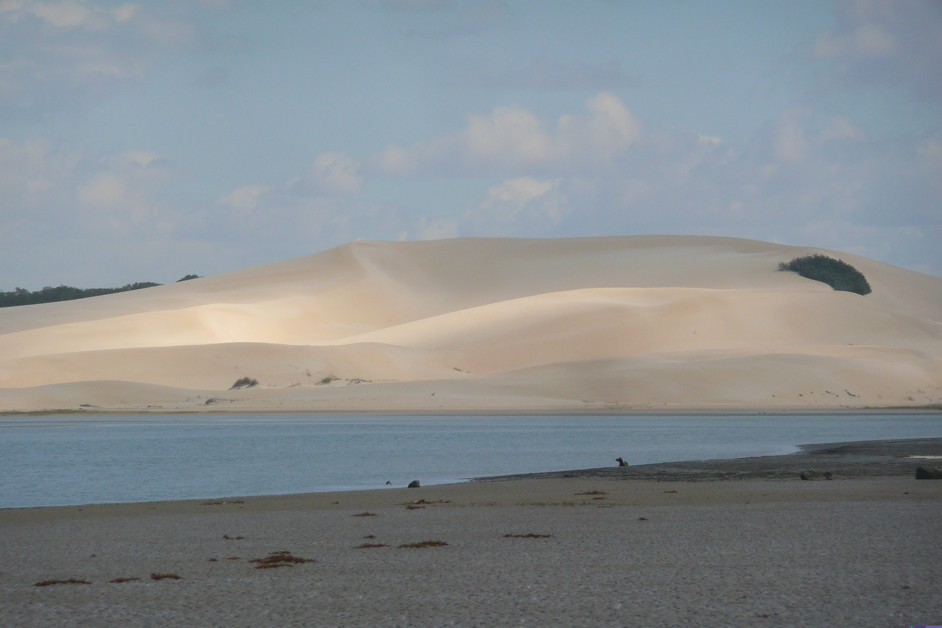 รูปถ่าย แอฟริกาใต้(South Africa) แม่น้ำซันเดส์(Sundays River) 2008-09 21