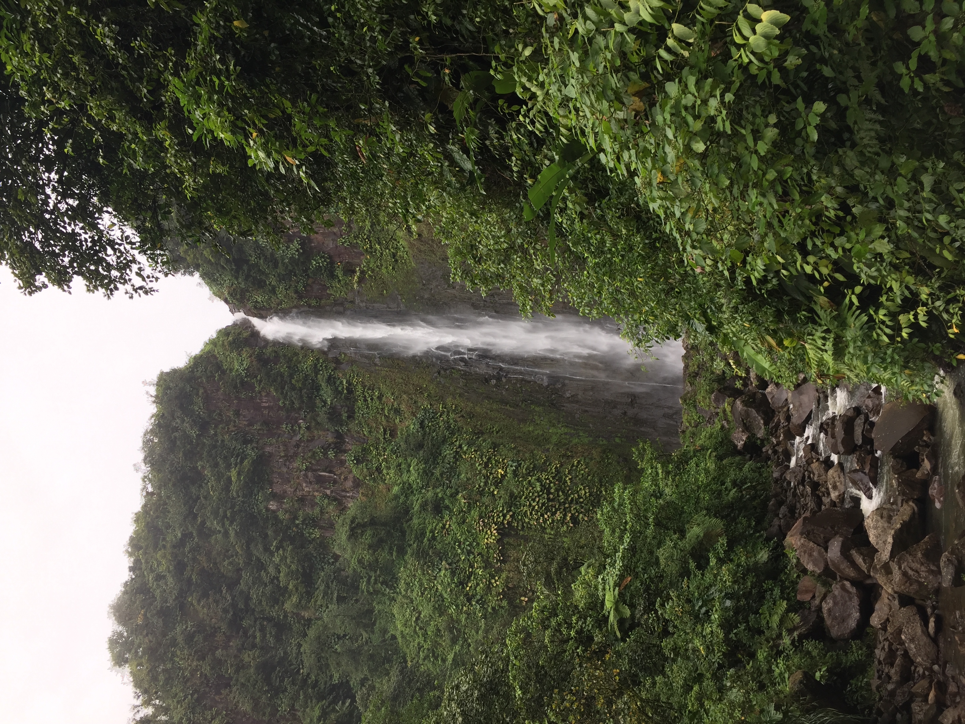 รูปถ่าย กวาเดอลูป(Guadeloupe) น้ำตกการ์เบ(Carbet Falls) 2021-02 55