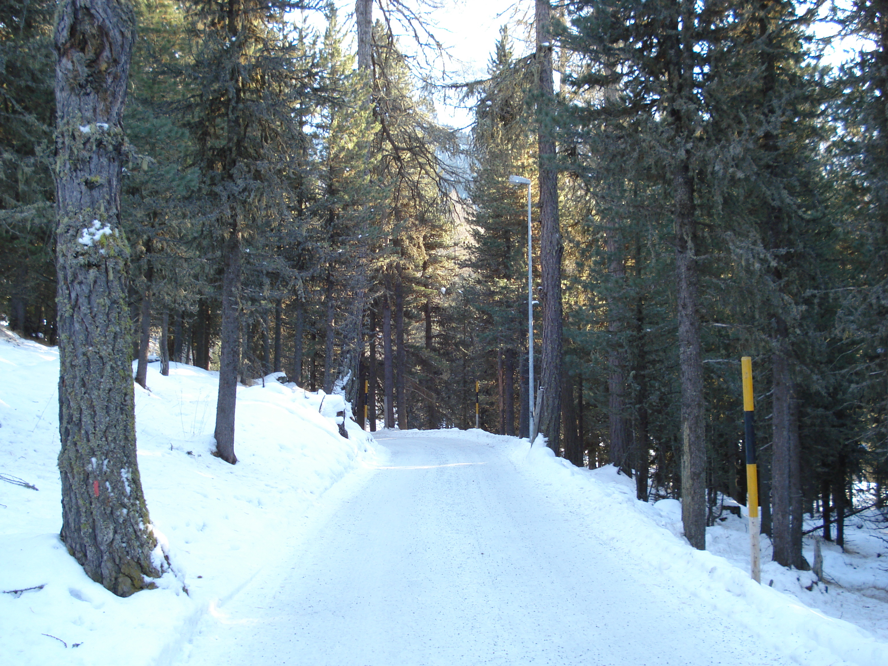 รูปถ่าย สวิสเซอร์แลนด์(Switzerland) เซนต์มอริตซ์ ชลาริญญา(St Moritz Schlarigna) 2007-01 41