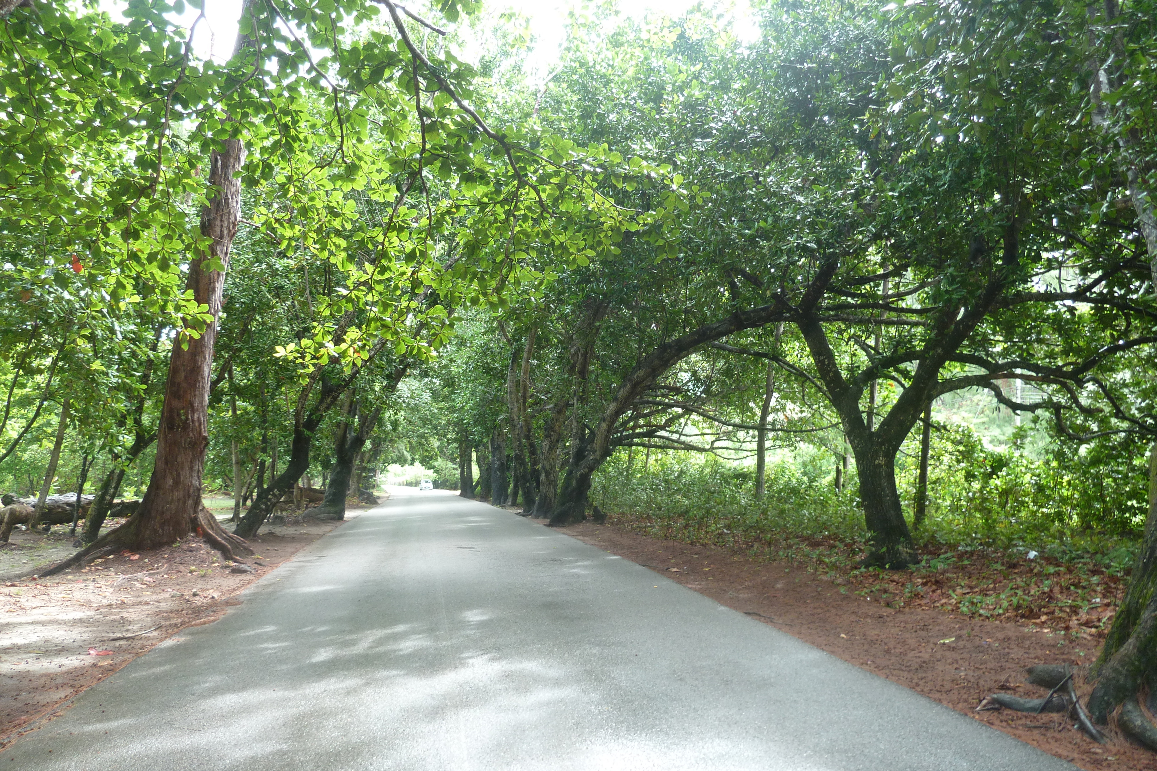 รูปถ่าย เซเชลส์(Seychelles) เกาะปราลิน(Praslin) 2011-10 107