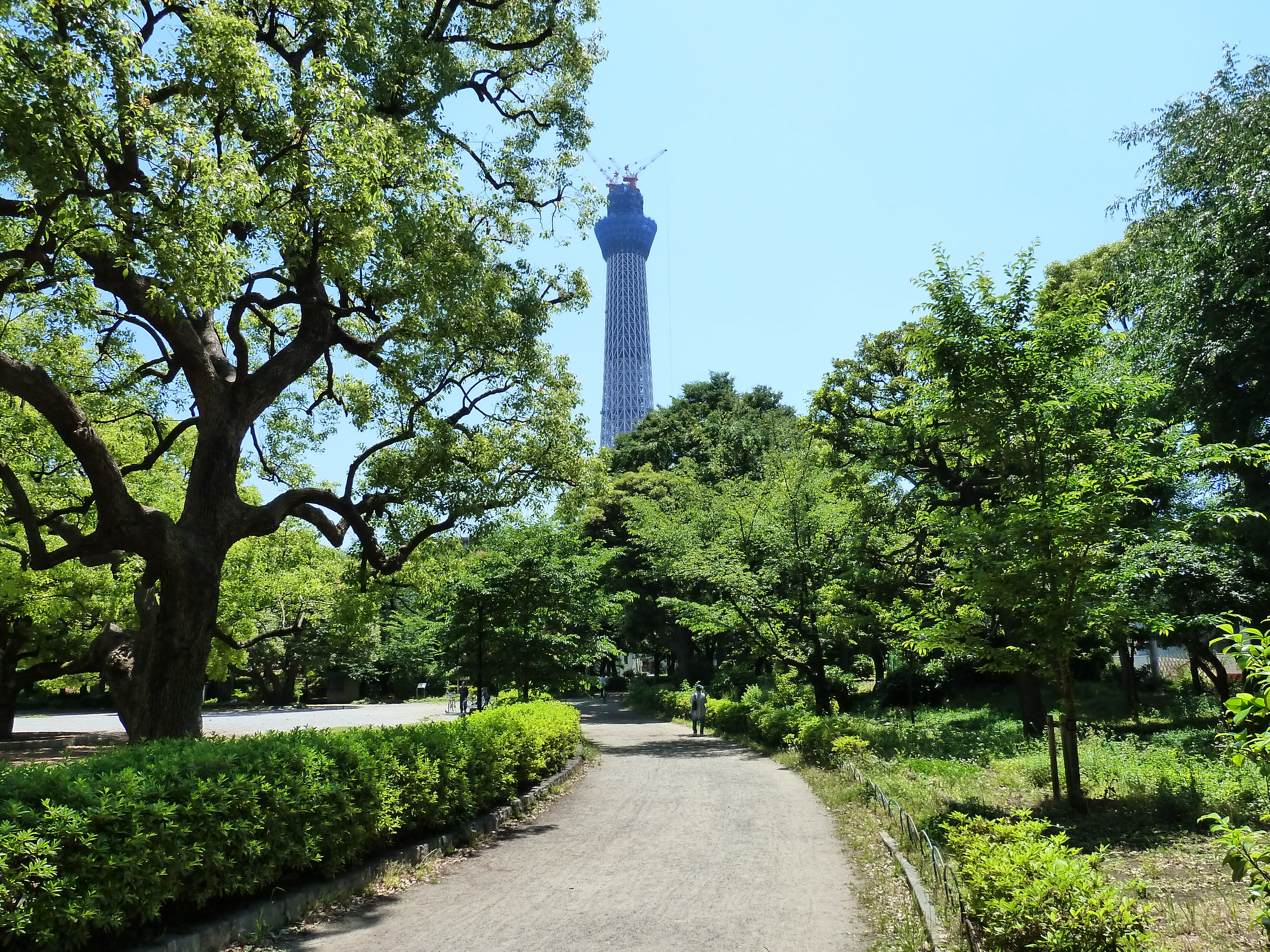 รูปถ่าย ญี่ปุ่น(Japan) โตเกียว(Tokyo) ซุมิดะ(Sumida) 2010-06 5
