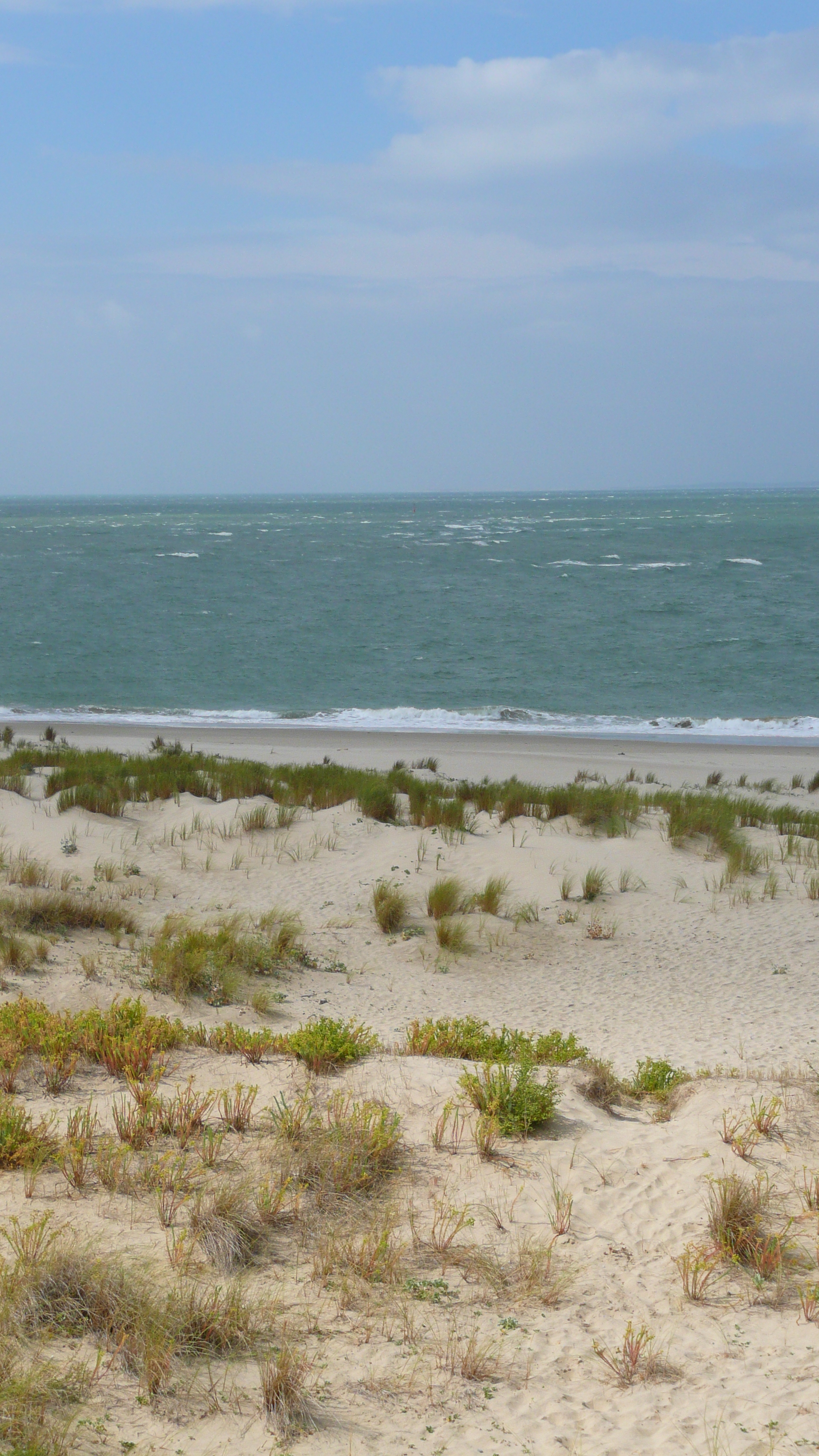 รูปถ่าย ฝรั่งเศส(France) ปากแม่น้ำฌีรงด์(Gironde estuary) 2007-08 60