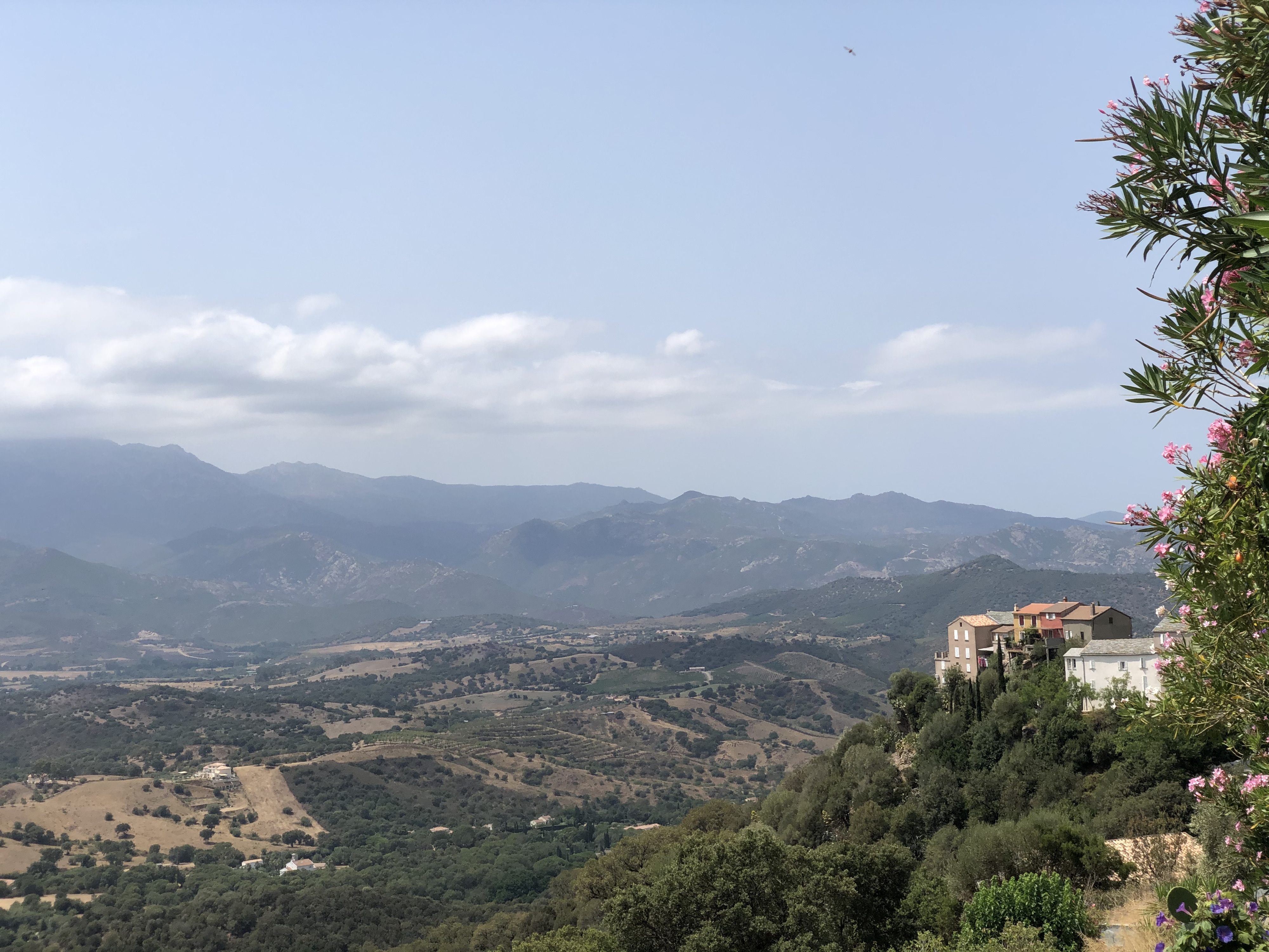 รูปถ่าย ฝรั่งเศส(France) คอร์สิคา(Corsica) แซ็งฟลอร็อง(Saint Florent) 2021-08 7