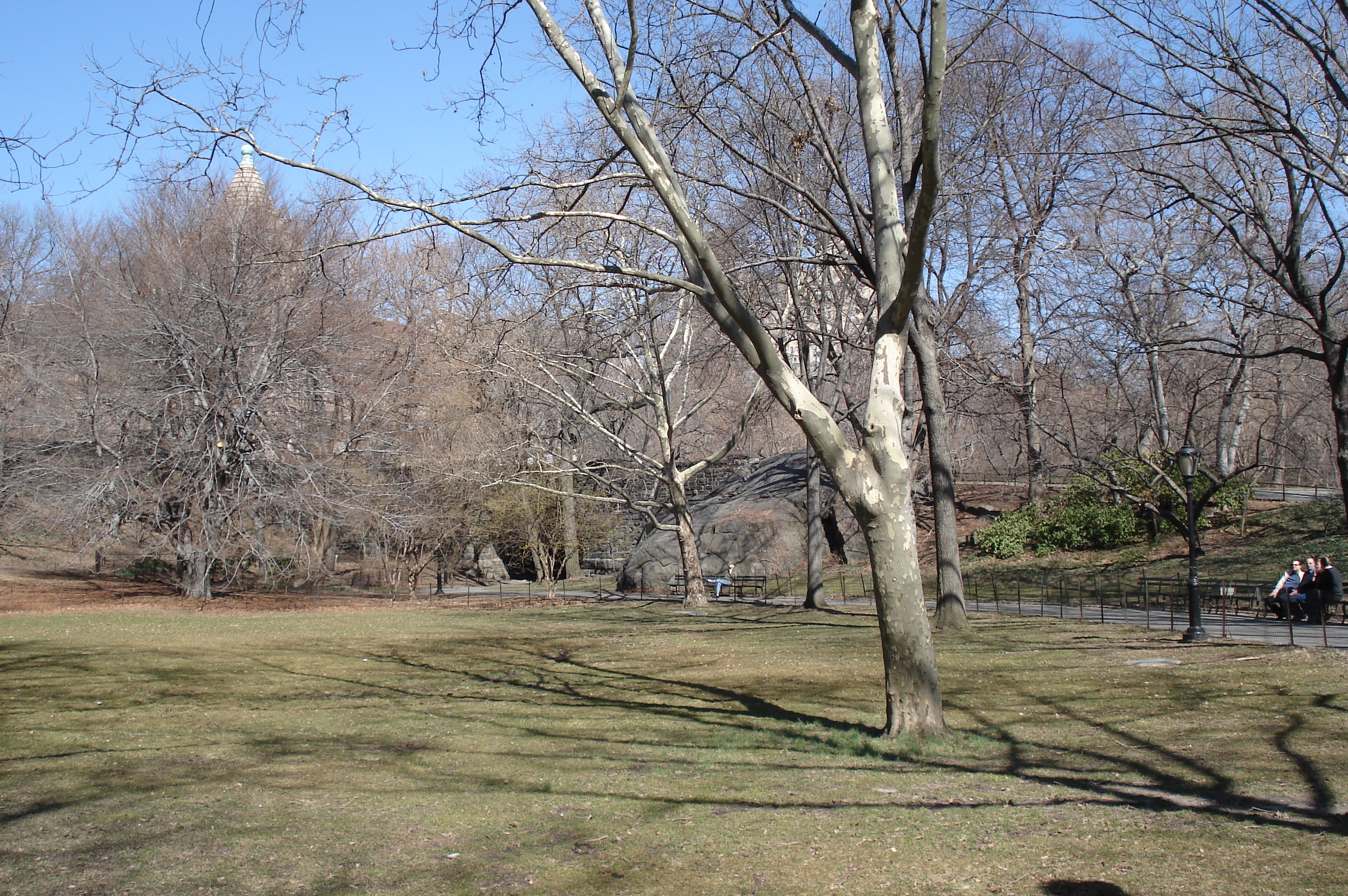 รูปถ่าย สหรัฐอเมริกา(United States) นิวยอร์ก(New York) เซ็นทรัลพาร์ก(Central Park) 2006-03 50
