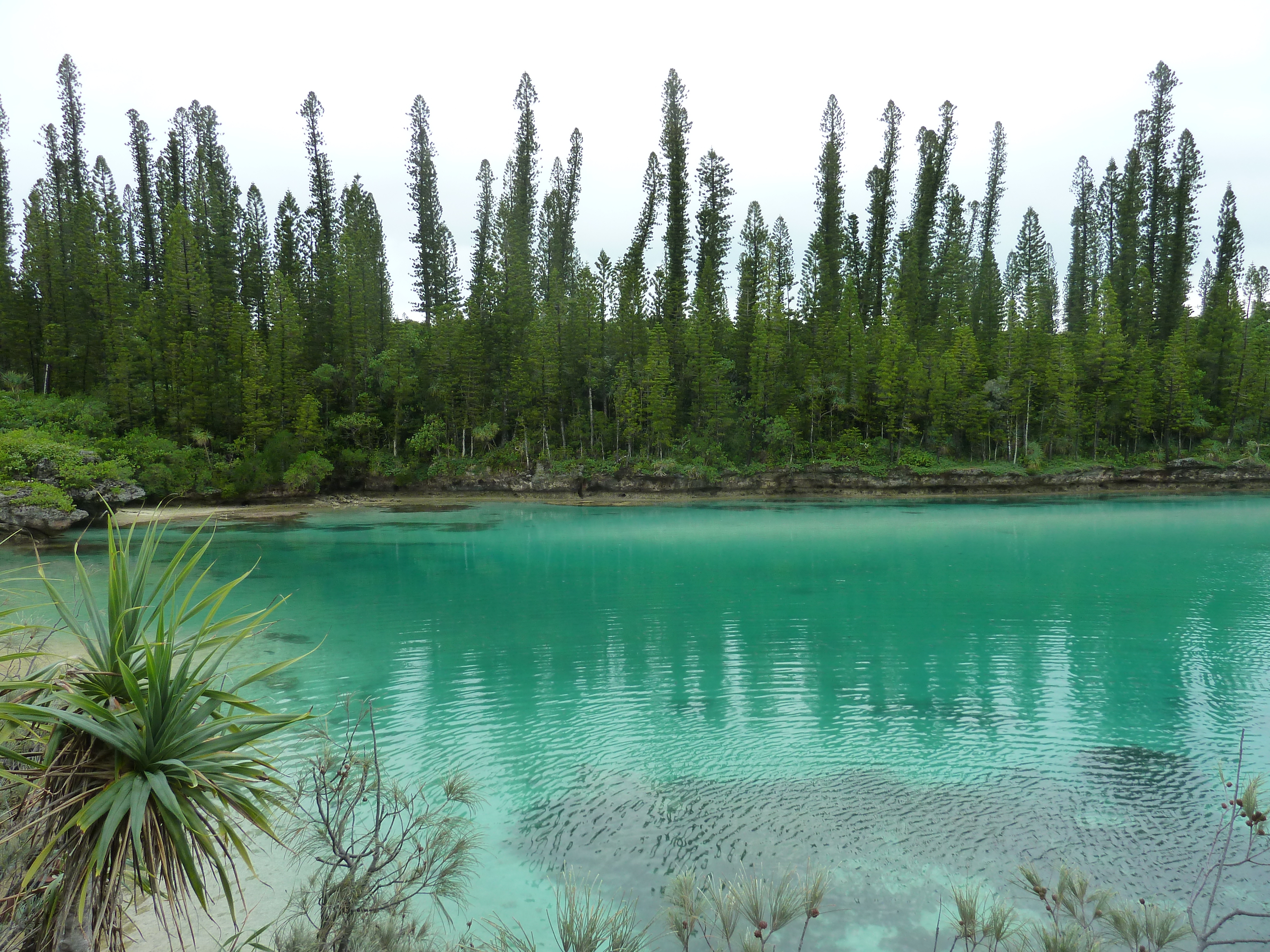 รูปถ่าย นิวแคลิโดเนีย(New Caledonia) 2010-05 65
