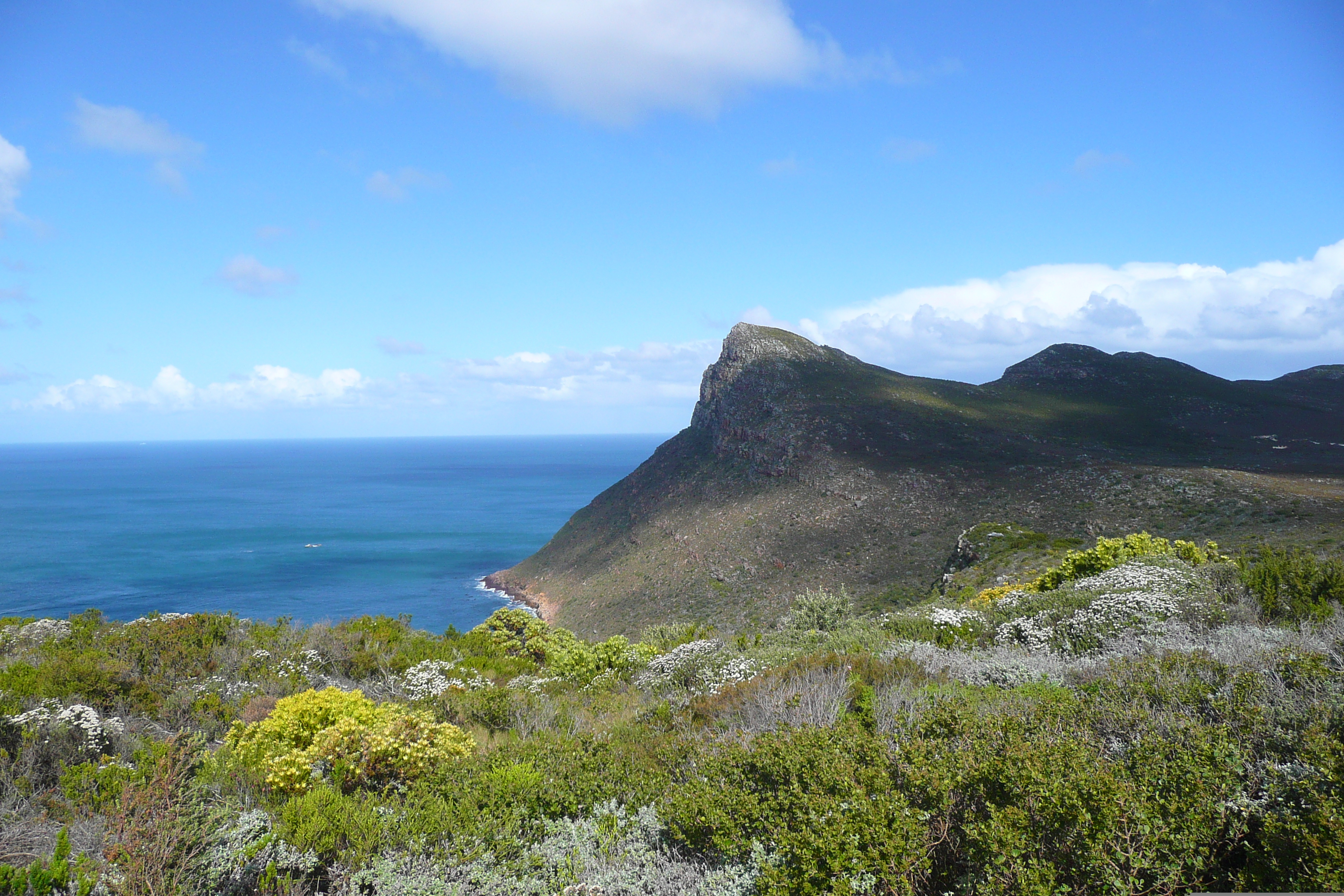 รูปถ่าย แอฟริกาใต้(South Africa) แหลมกู๊ดโฮป(Cape of Good Hope) แหลมเคปพอยต์(Cape Point) 2008-09 46