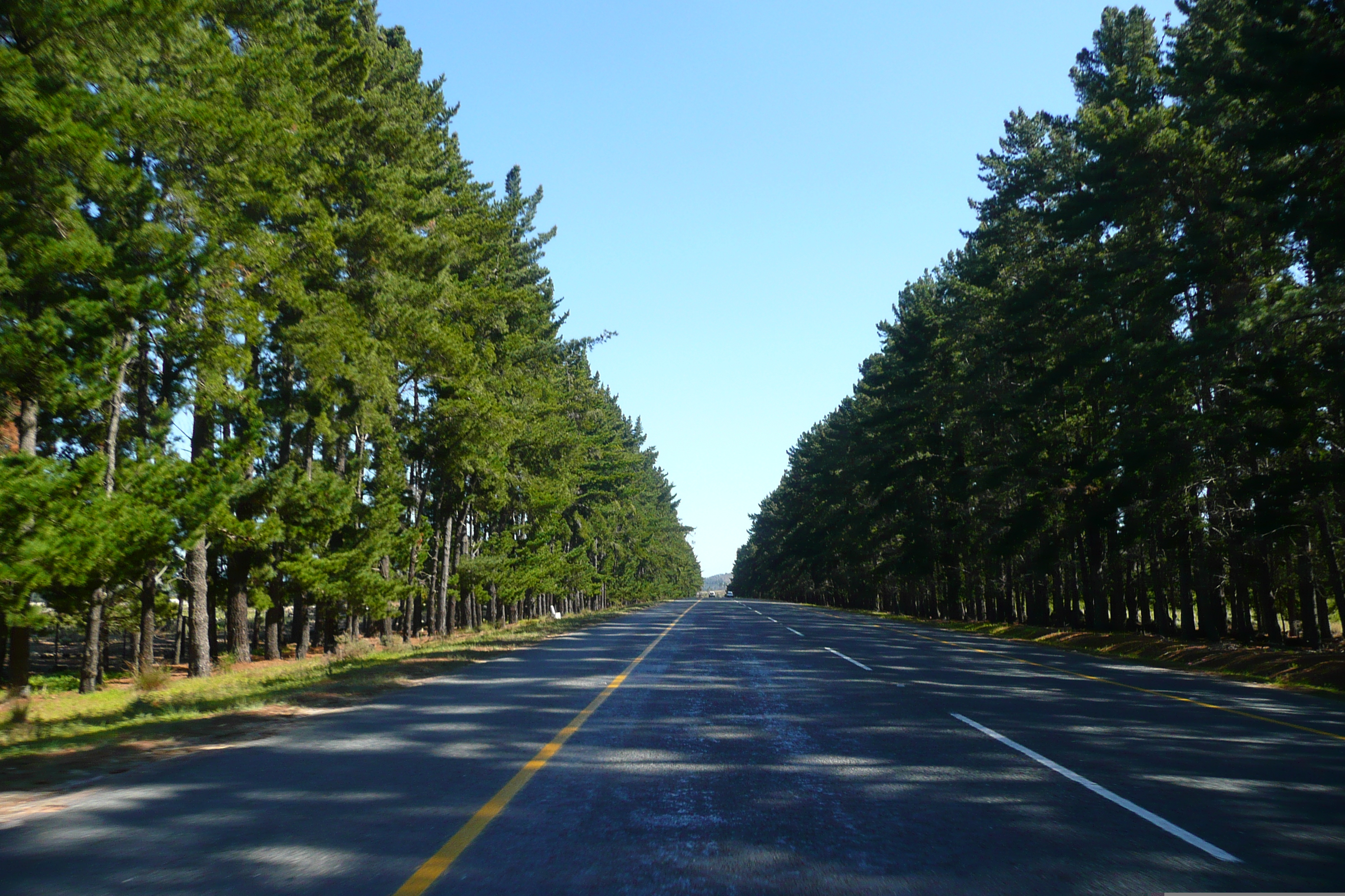 รูปถ่าย แอฟริกาใต้(South Africa) ถนนจากเคปทาวน์ไปเฮอร์มานัส(Cape Town to Harmanus road) 2008-09 29
