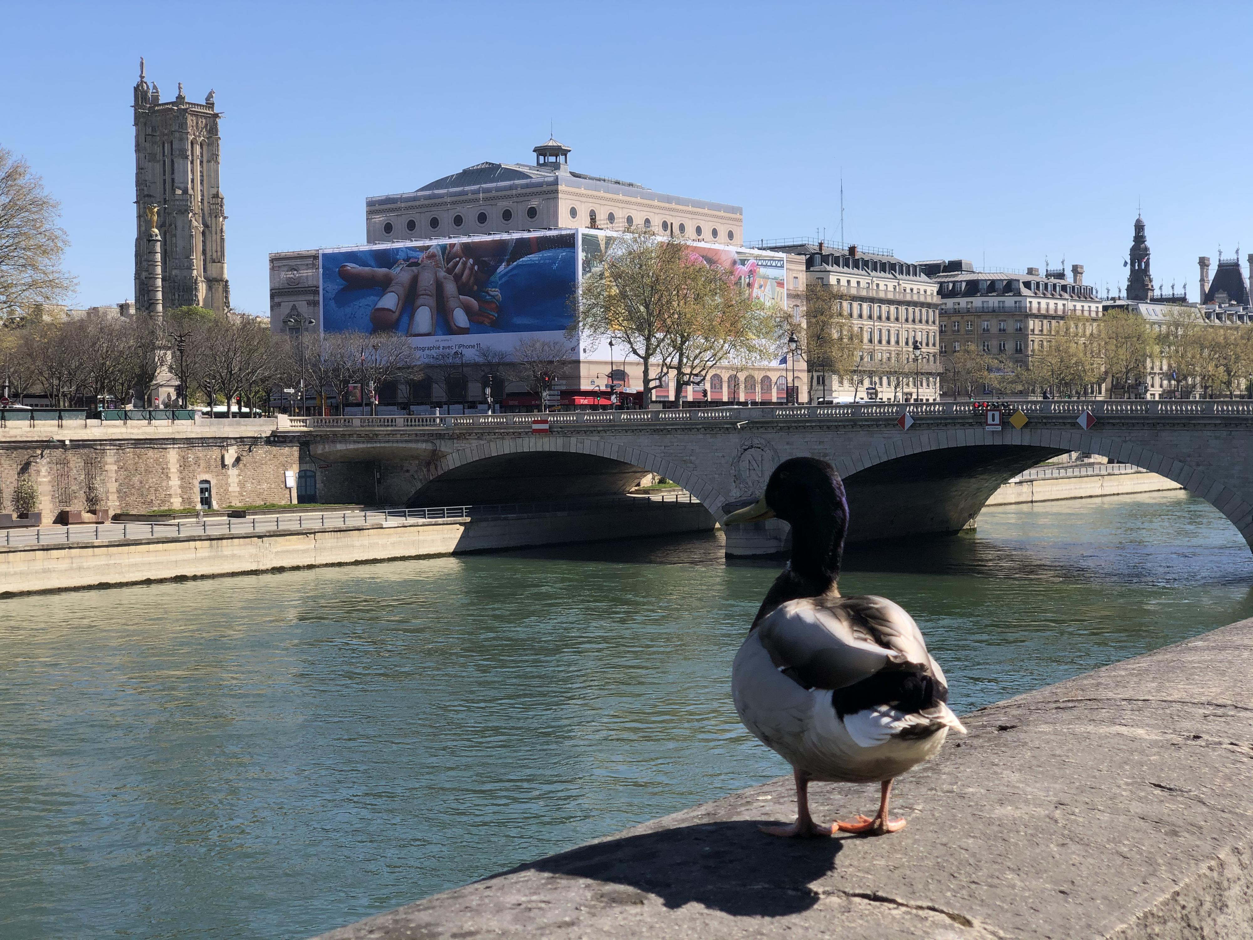 รูปถ่าย ฝรั่งเศส(France) ปารีสช่วงล็อกดาวน์(Paris lockdown) 2020-04 241