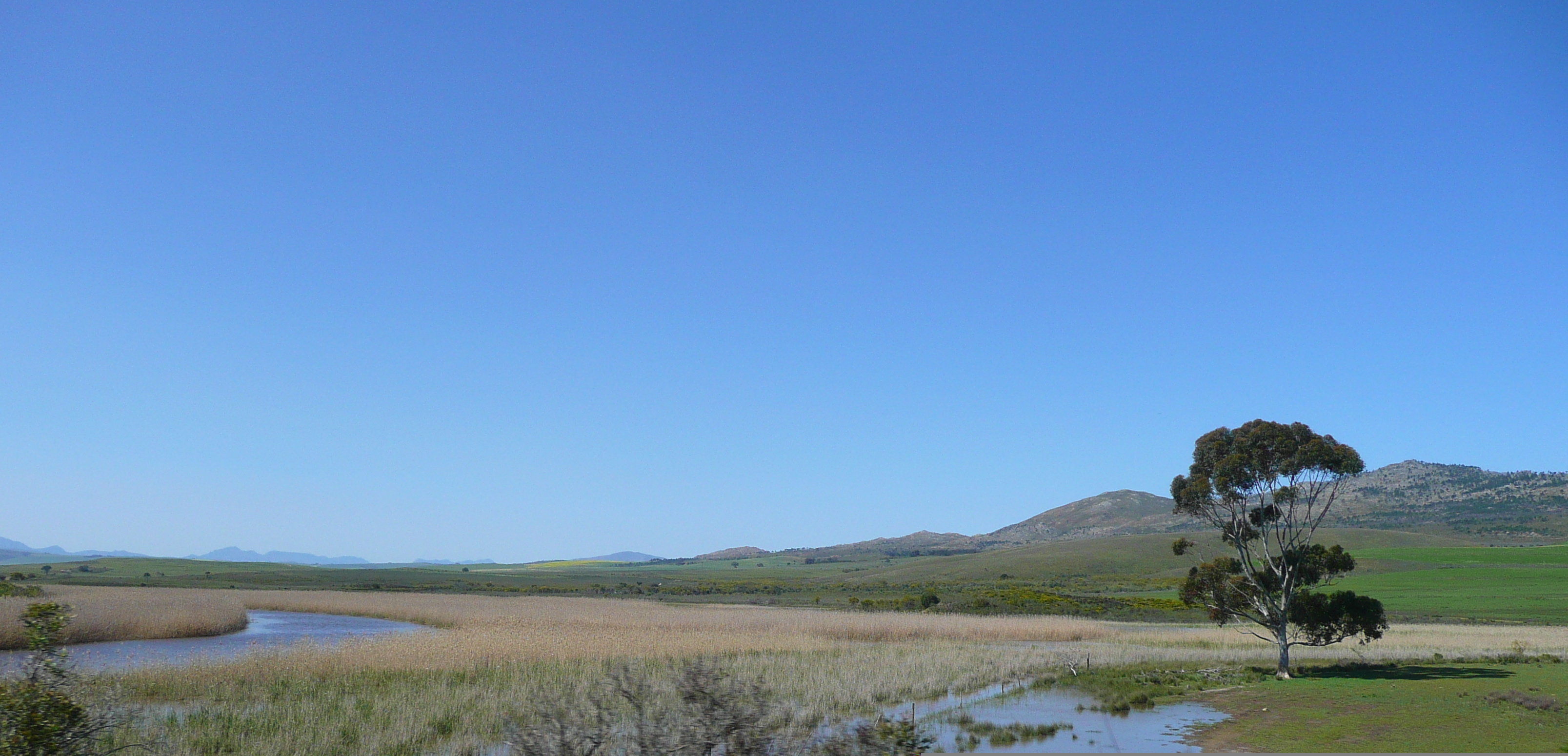 รูปถ่าย แอฟริกาใต้(South Africa) ถนนจากเคปทาวน์ไปเฮอร์มานัส(Cape Town to Harmanus road) 2008-09 22