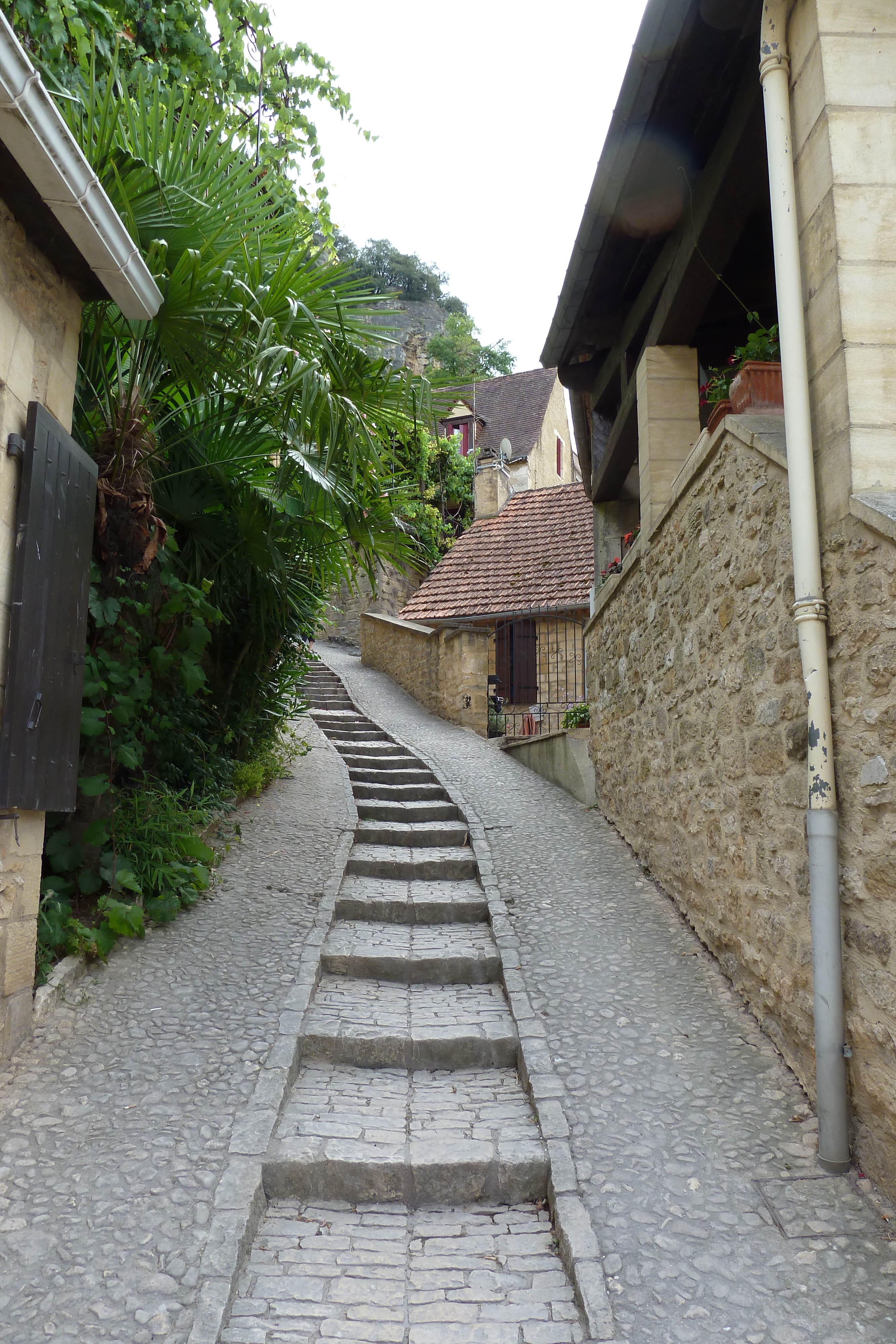 รูปถ่าย ฝรั่งเศส(France) ลาร็อก-กาฌัก(La Roque Gageac) 2010-08 60