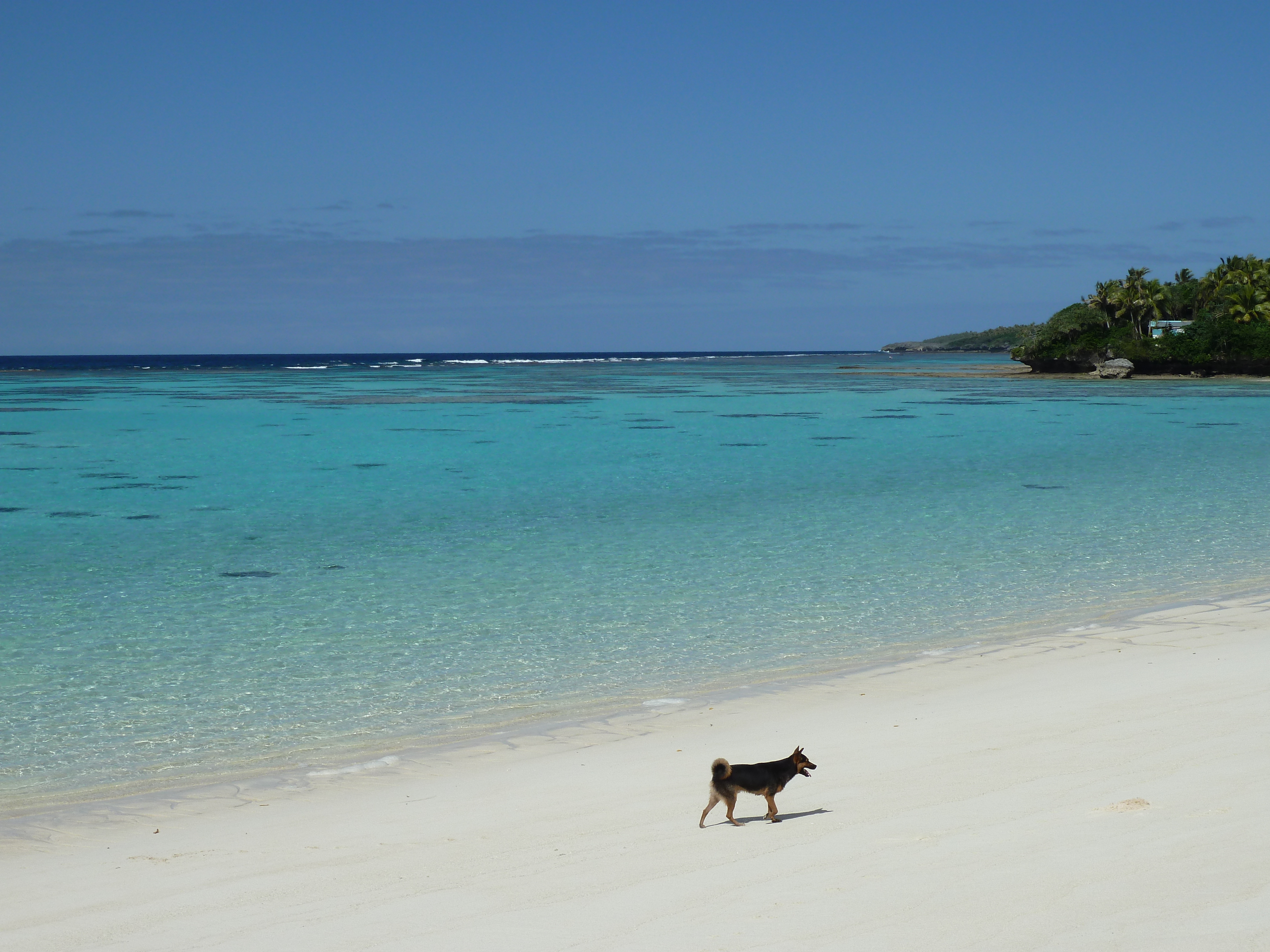 รูปถ่าย นิวแคลิโดเนีย(New Caledonia) เกาะลีฟู(Lifou) หมู่บ้านมู(Mu) 2010-05 53