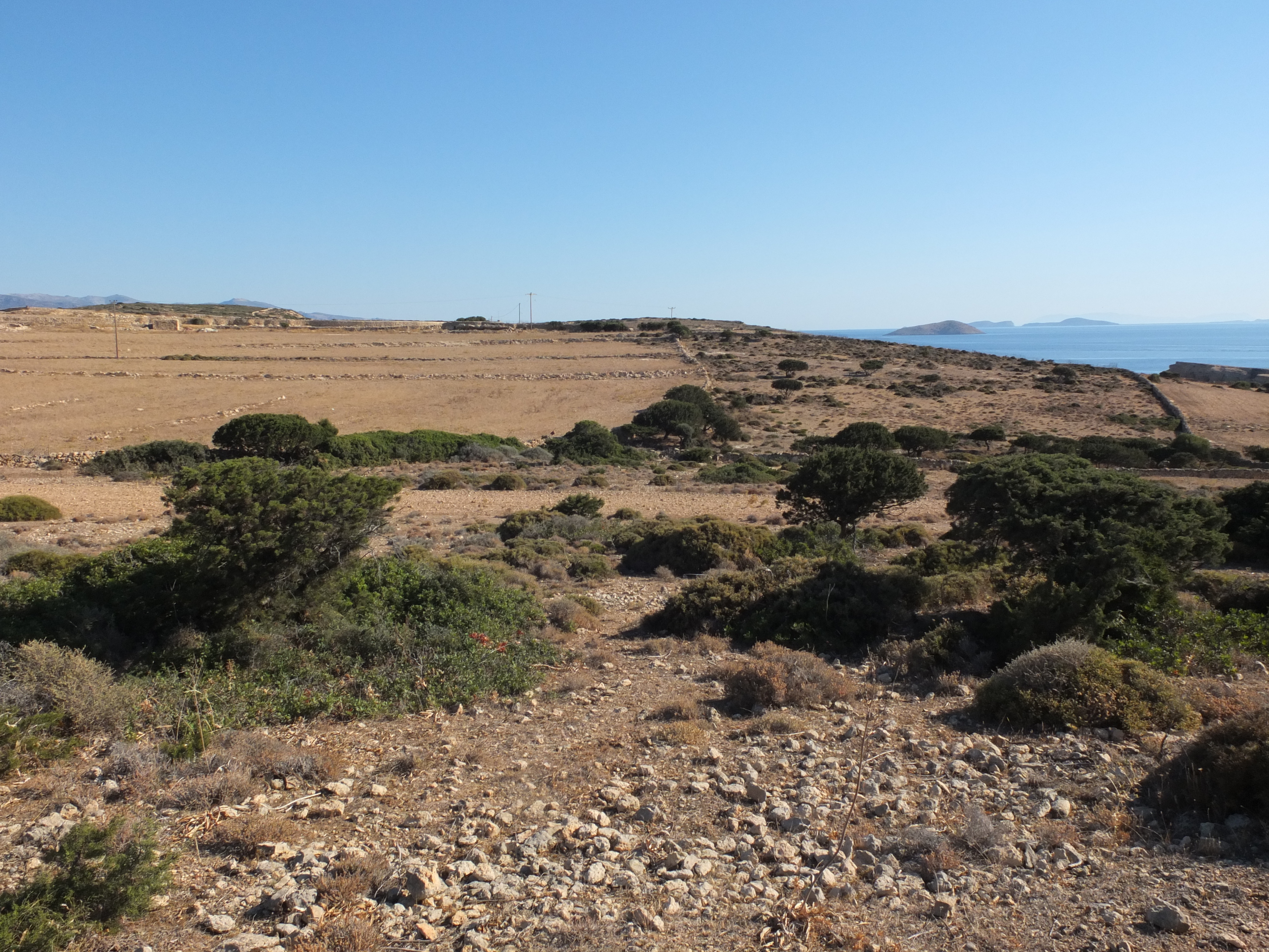 รูปถ่าย กรีก(Greece) เกาะคูโฟนิสเซีย(Koufonissia) 2014-07 201