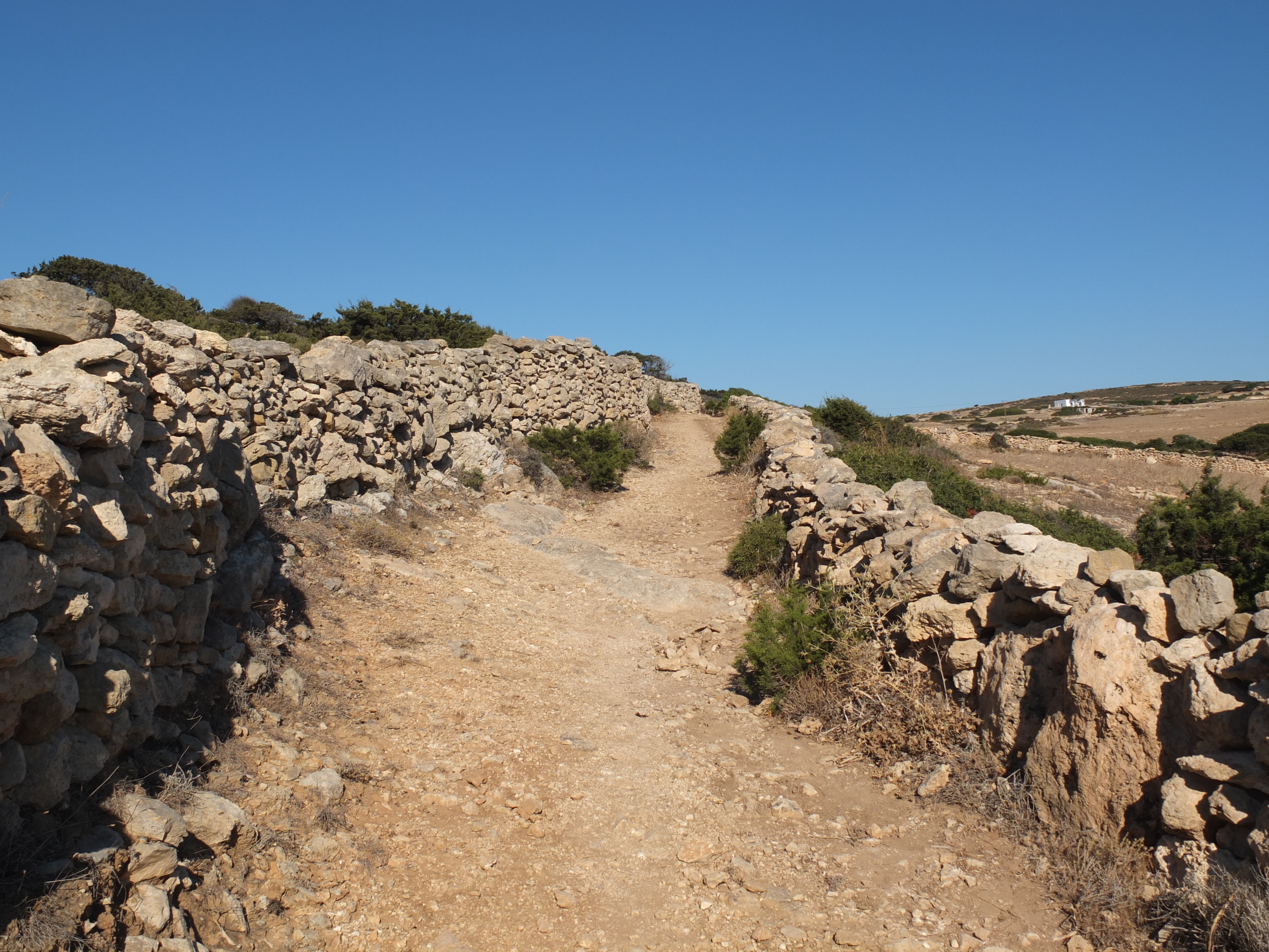 รูปถ่าย กรีก(Greece) เกาะคูโฟนิสเซีย(Koufonissia) 2014-07 246
