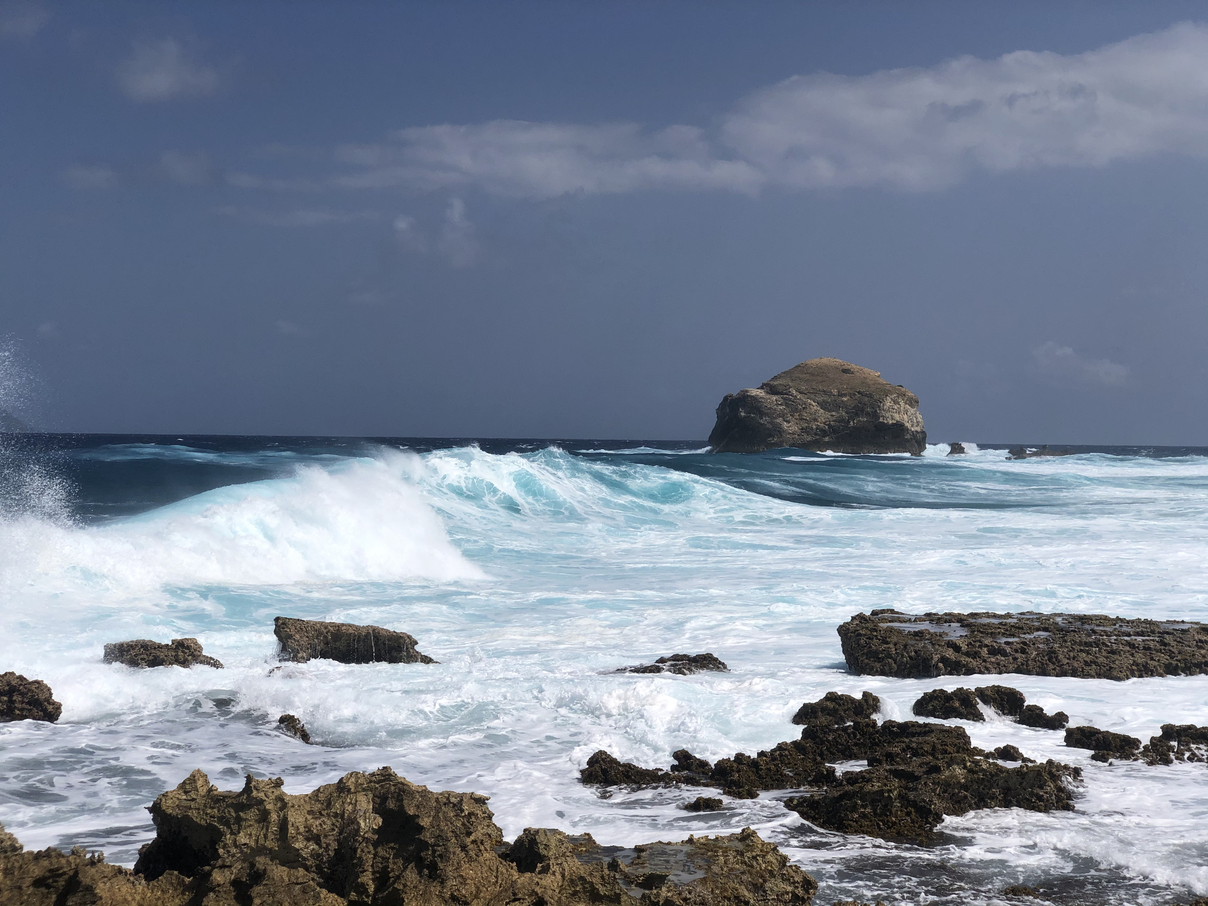รูปถ่าย กวาเดอลูป(Guadeloupe) แหลมคาสเซิลพอยต์(Castle Point) 2021-02 304