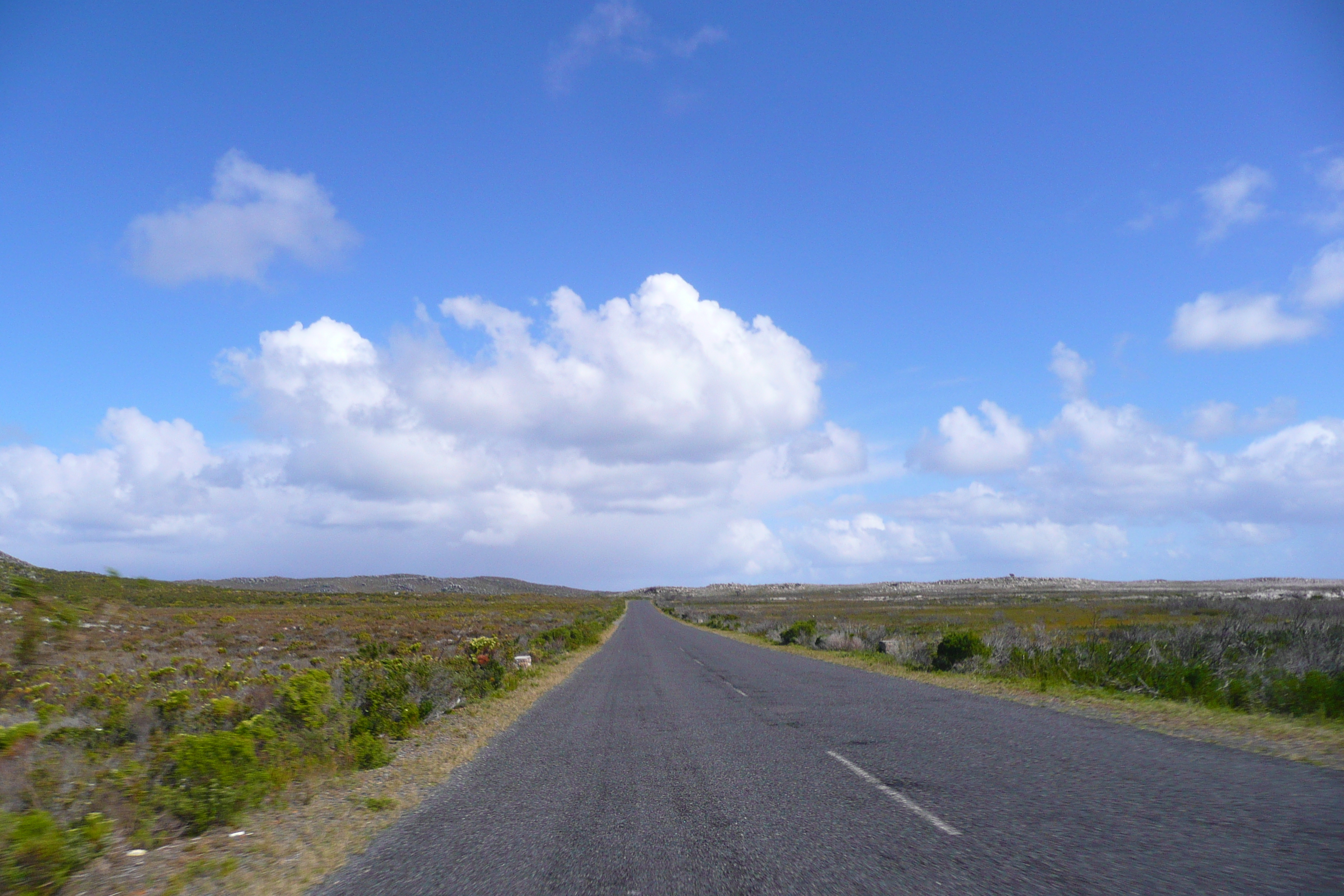 รูปถ่าย แอฟริกาใต้(South Africa) แหลมกู๊ดโฮป(Cape of Good Hope) แหลมเคปพอยต์(Cape Point) 2008-09 24