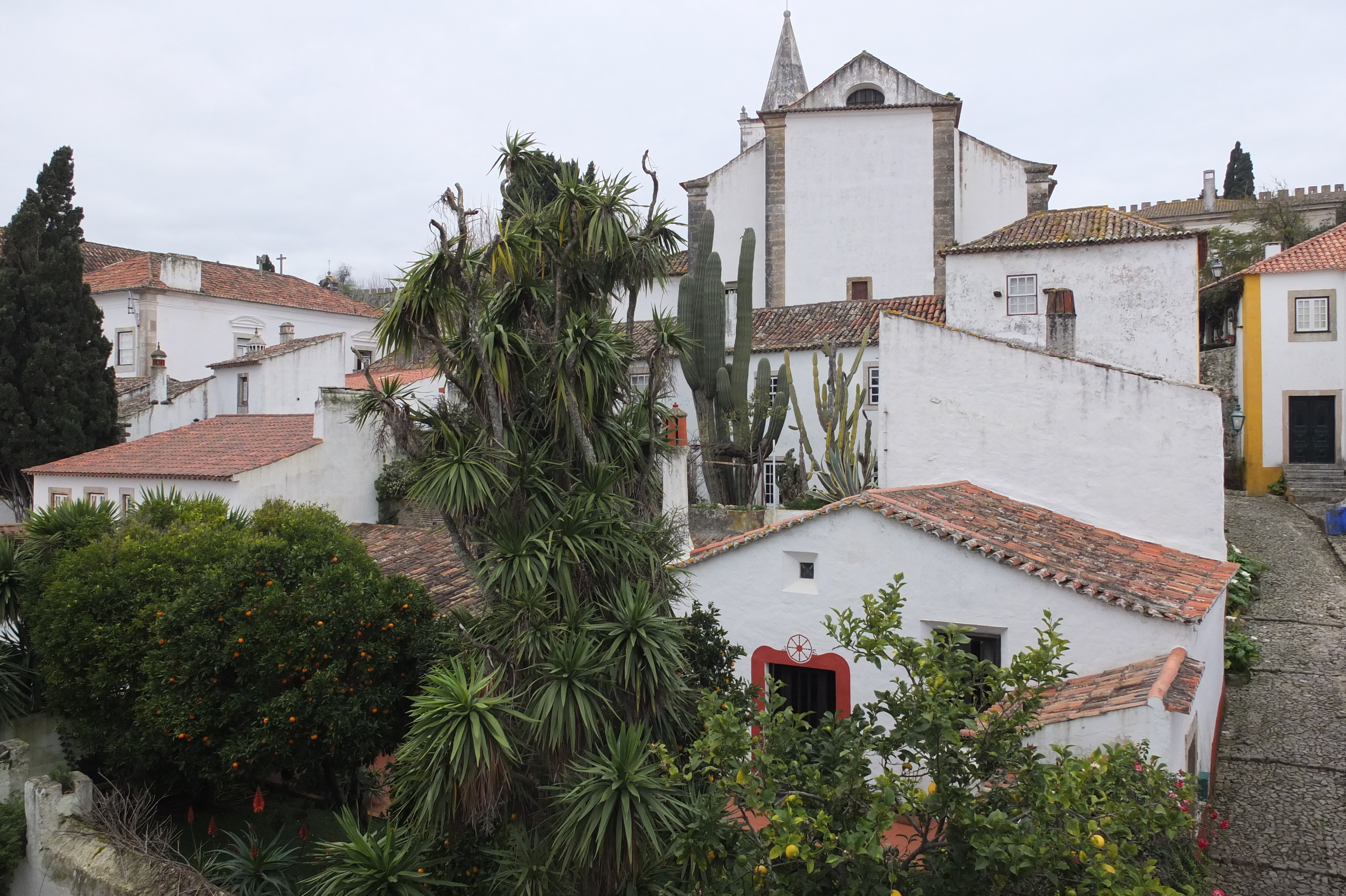 รูปถ่าย โปรตุเกส(Portugal) โอบีโดส(Obidos) 2013-01 73