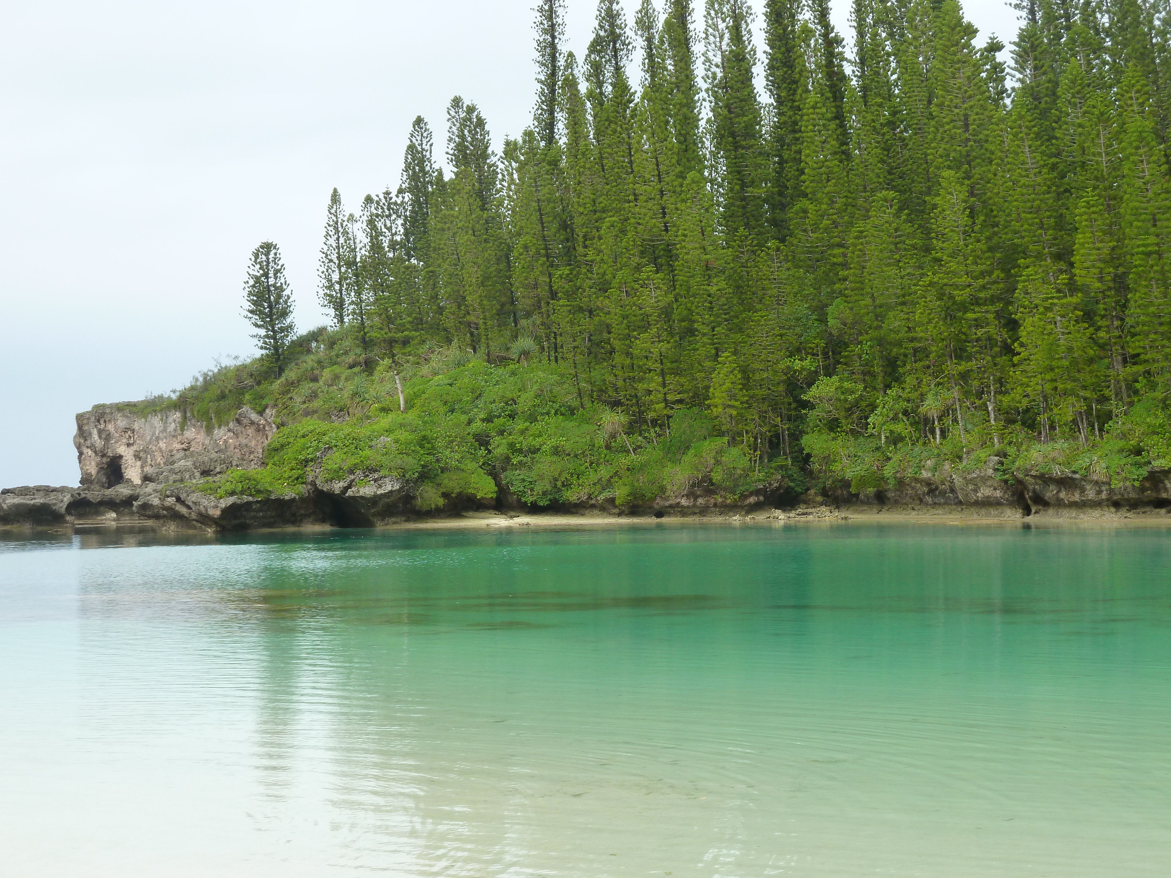 รูปถ่าย นิวแคลิโดเนีย(New Caledonia) เกาะต้นสน(Ile des pins) อ่าวโอโร(Oro Bay) 2010-05 47
