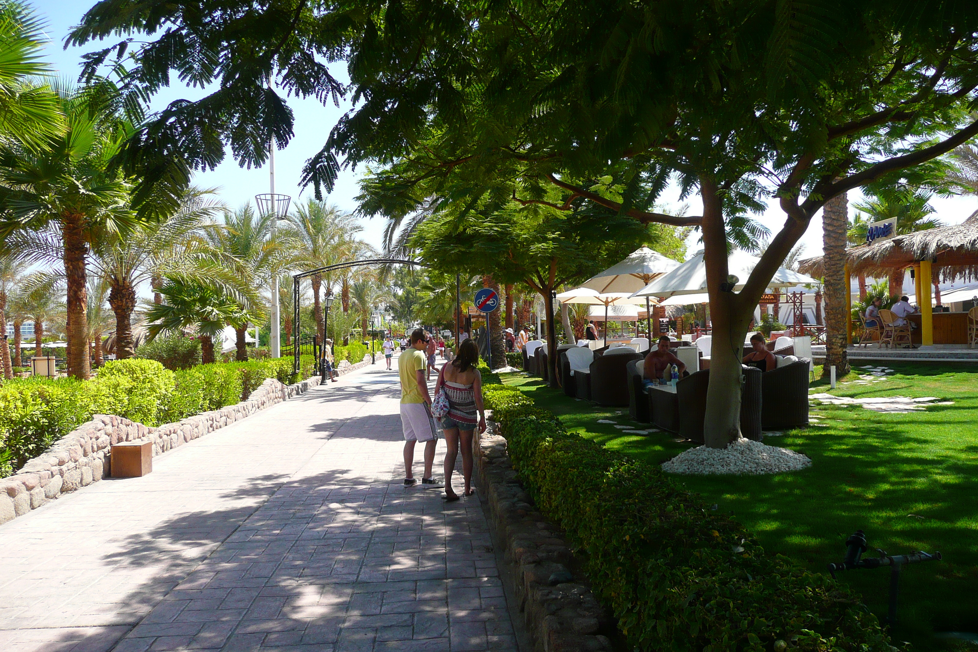 รูปถ่าย อียิปต์(Egypt) ชาร์มเอลชีค(Sharm el Sheikh) 2008-06 41