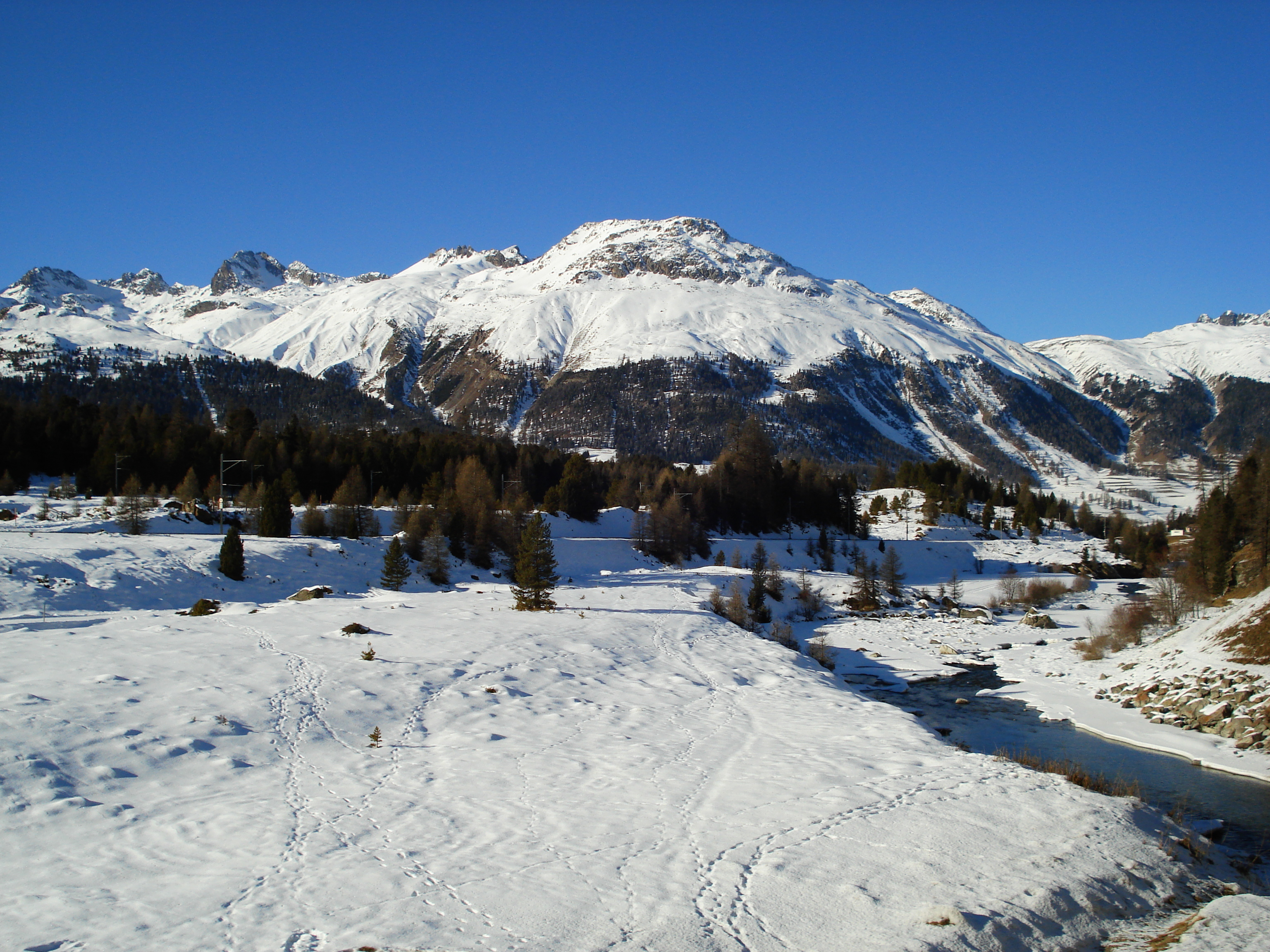 รูปถ่าย สวิสเซอร์แลนด์(Switzerland) ปองเทรซีน่า(Pontresina) 2007-01 80