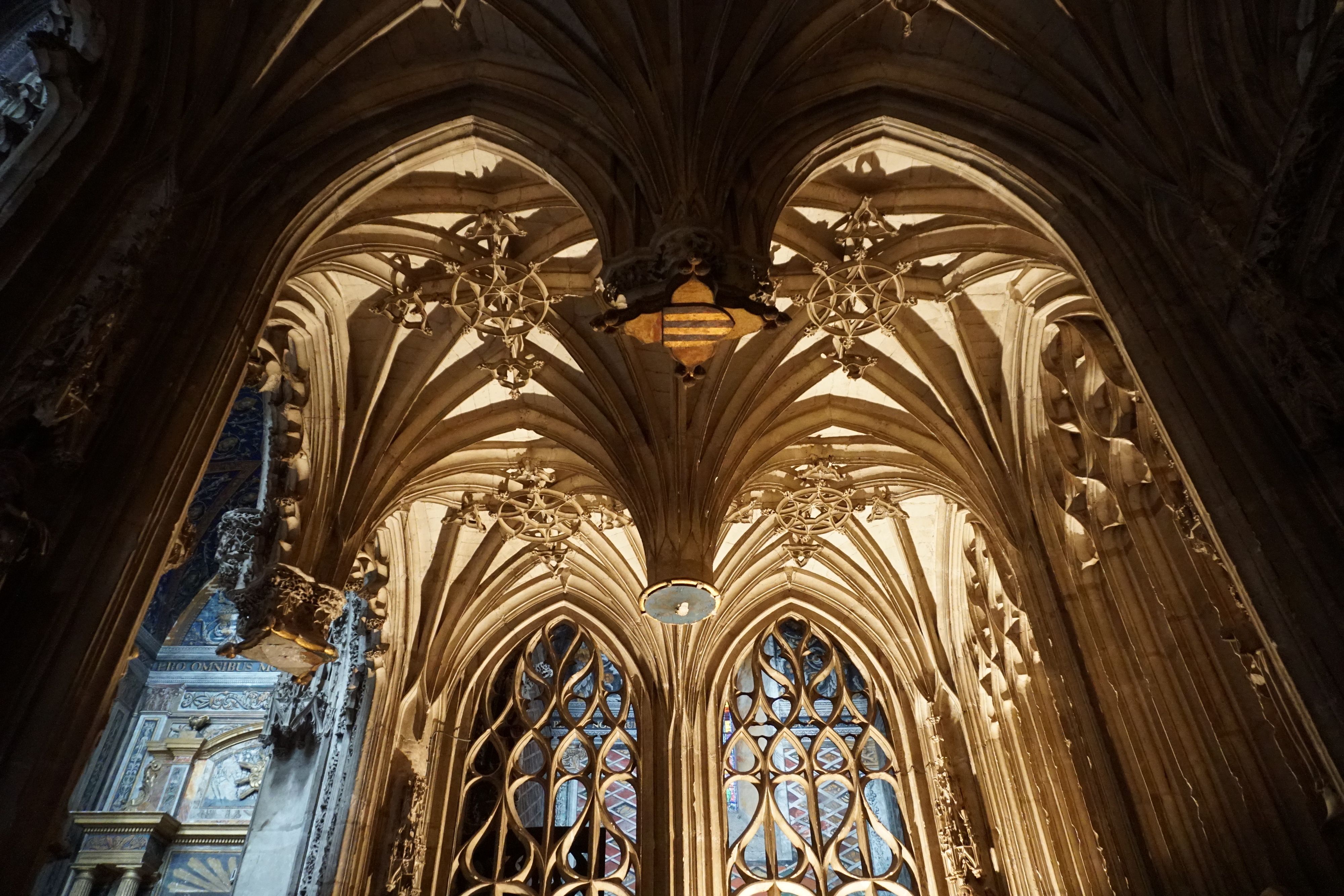 รูปถ่าย ฝรั่งเศส(France) อัลบี(Albi) มหาวิหารอัลบี(Albi Cathedral) 2017-08 22