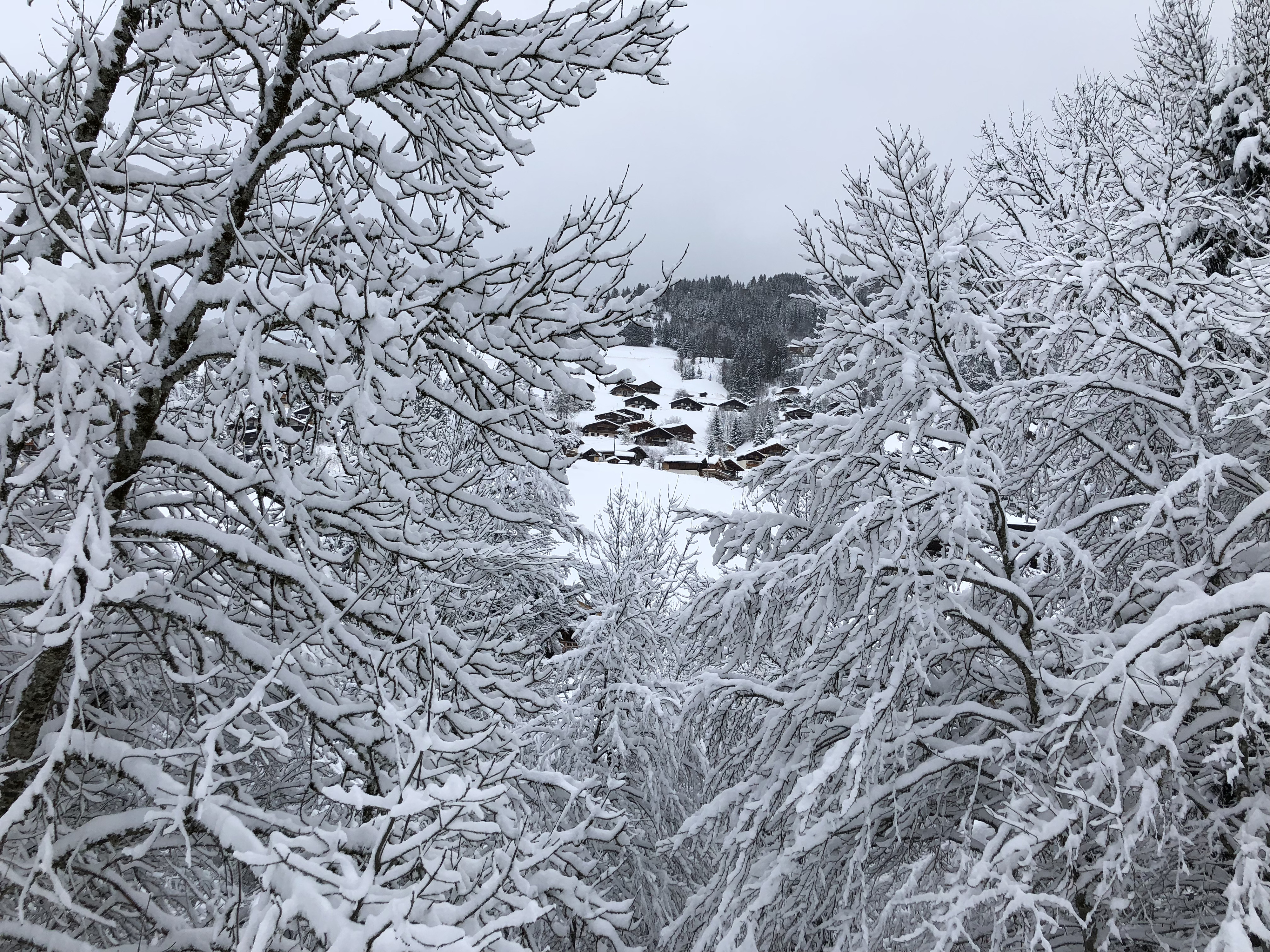 รูปถ่าย ฝรั่งเศส(France) ลากลูซา(La Clusaz) 2017-12 280
