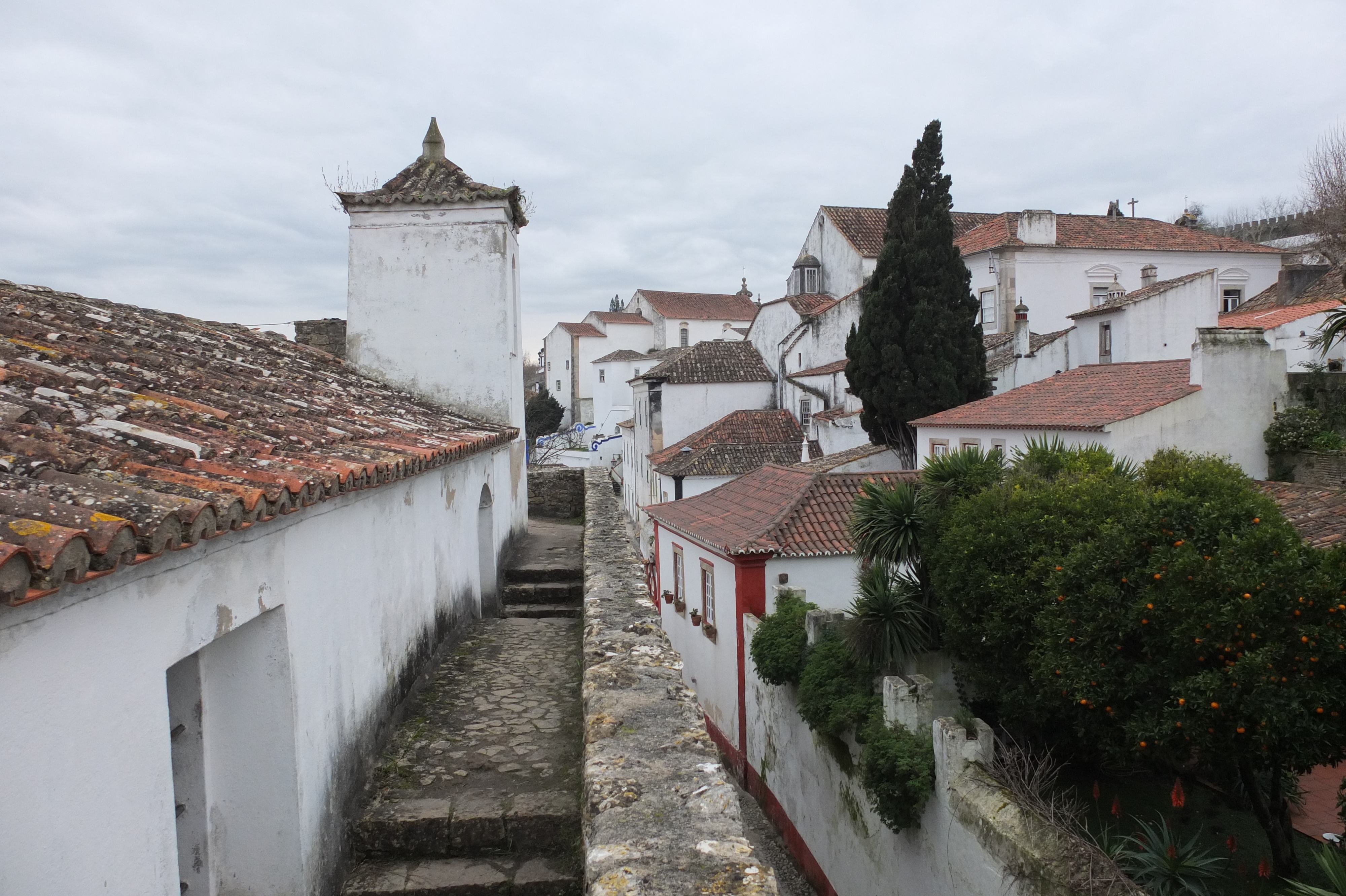 รูปถ่าย โปรตุเกส(Portugal) โอบีโดส(Obidos) 2013-01 76