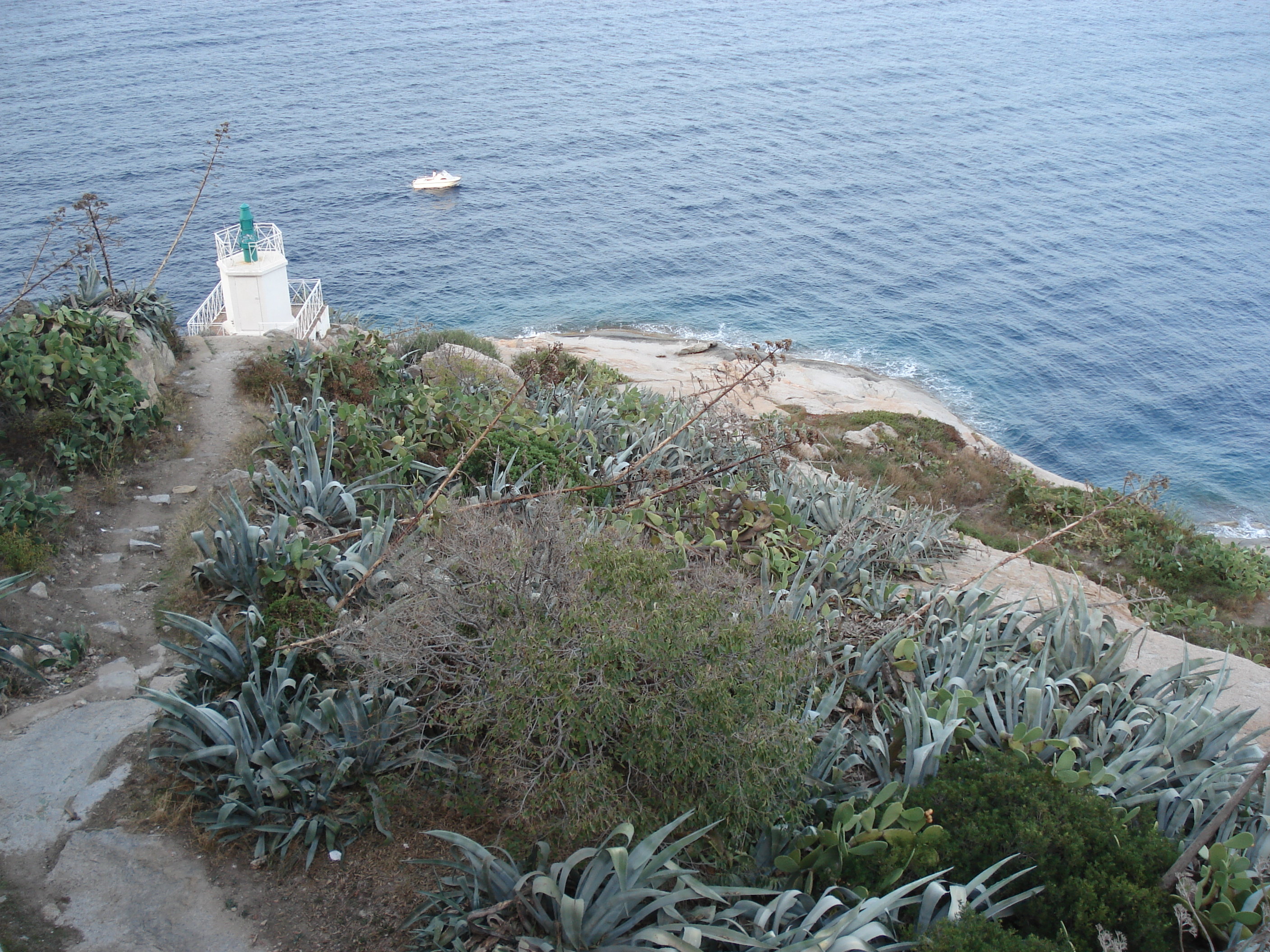 รูปถ่าย ฝรั่งเศส(France) คอร์สิคา(Corsica) คาลวี(Calvi) 2006-09 2