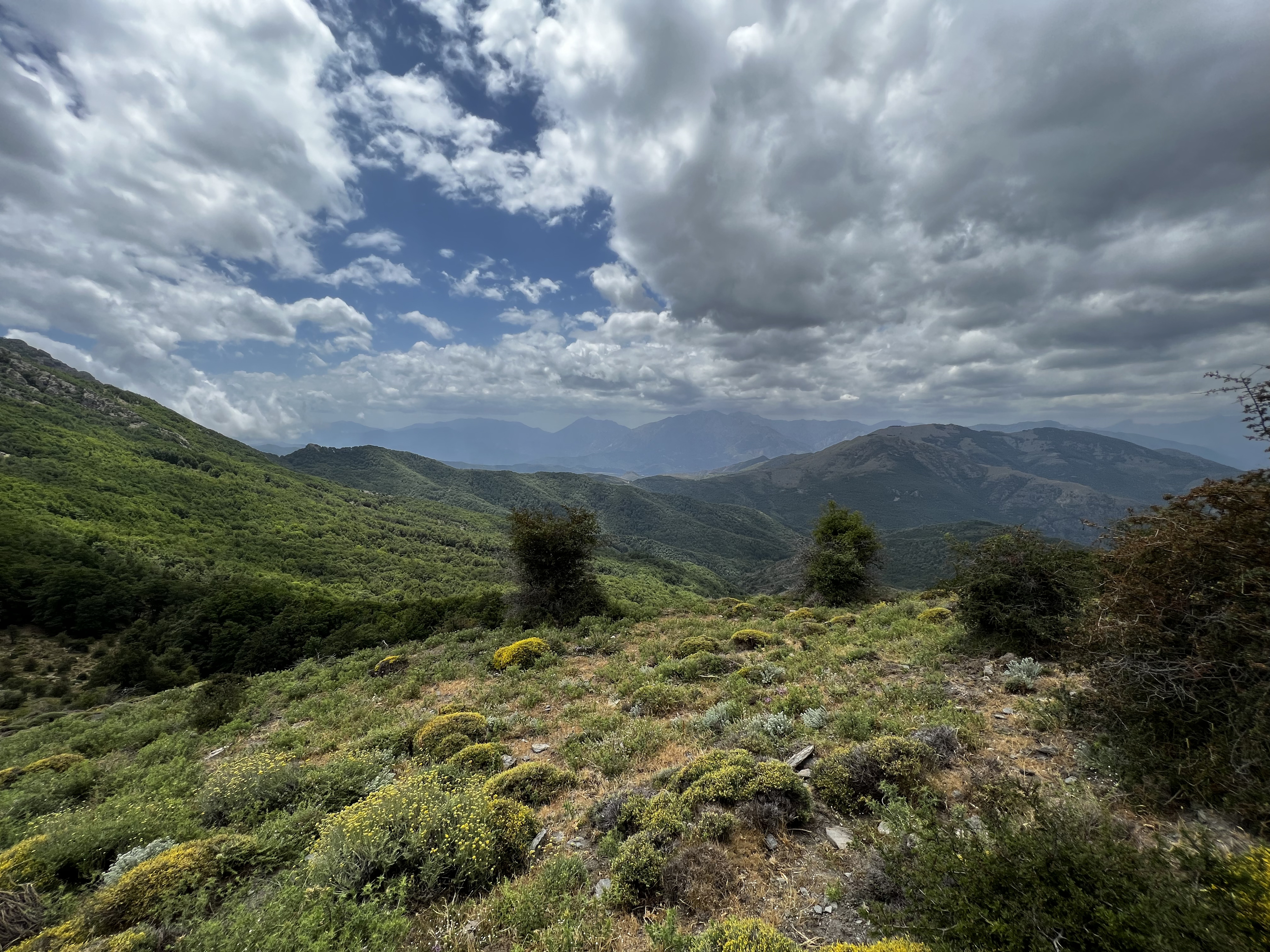 รูปถ่าย ฝรั่งเศส(France) คอร์สิคา(Corsica) ที่พักกัลเลรุชชู(Refuge de Callerucciu) 2022-06 62