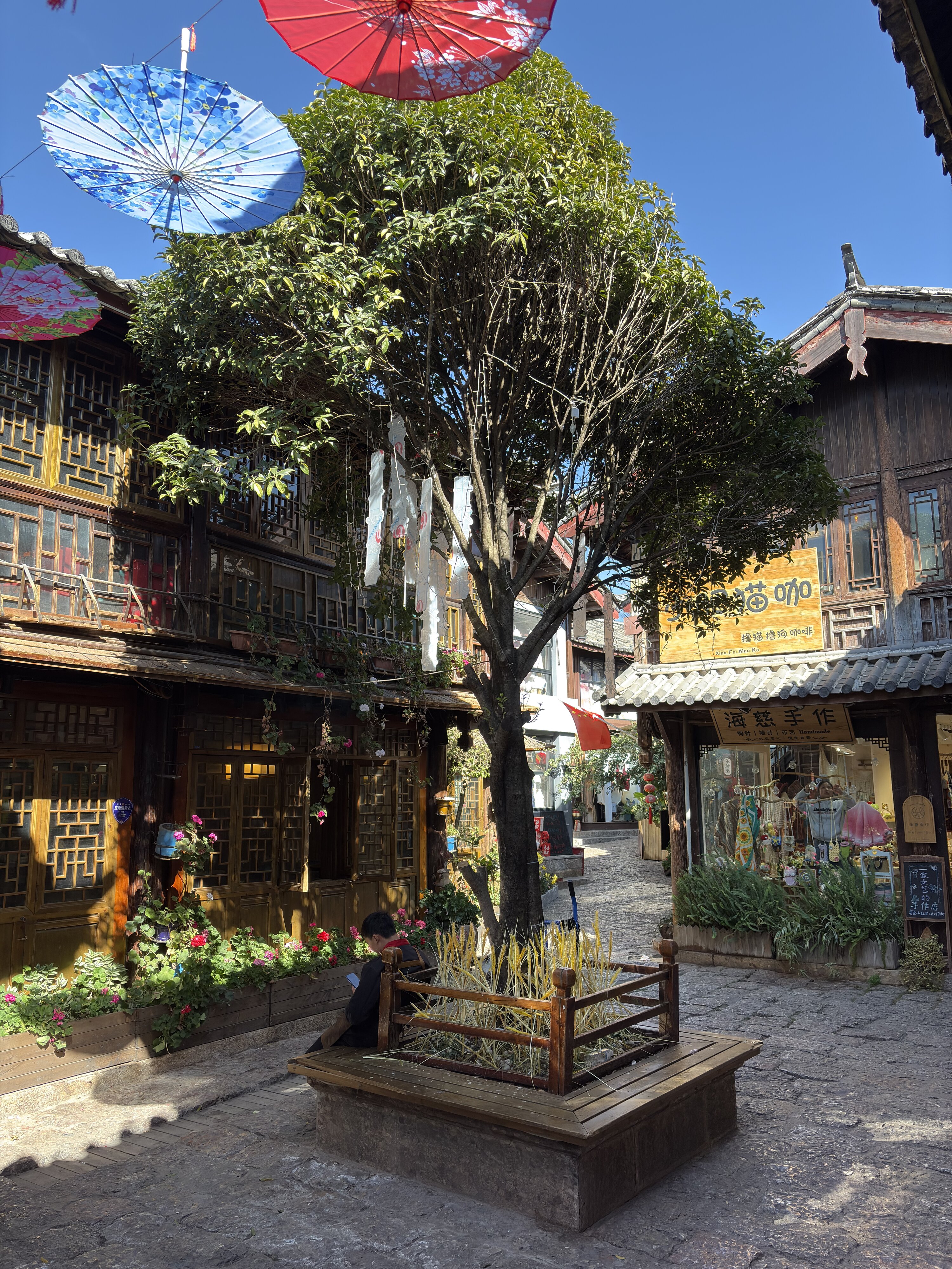 รูปถ่าย จีน(China) ลี่เจียง(Lijiang) 2026-01 345
